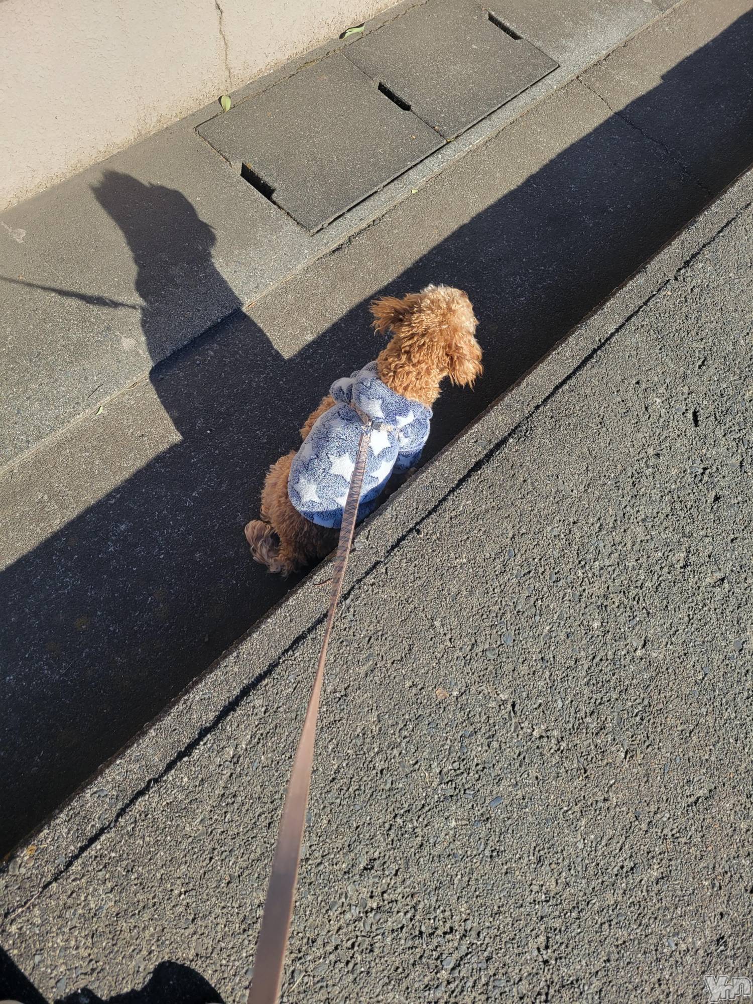 ���ܥ���Х��顦�����club RUDAN(����֥����) ��2023ǯ1��8���̥�֥����֤������