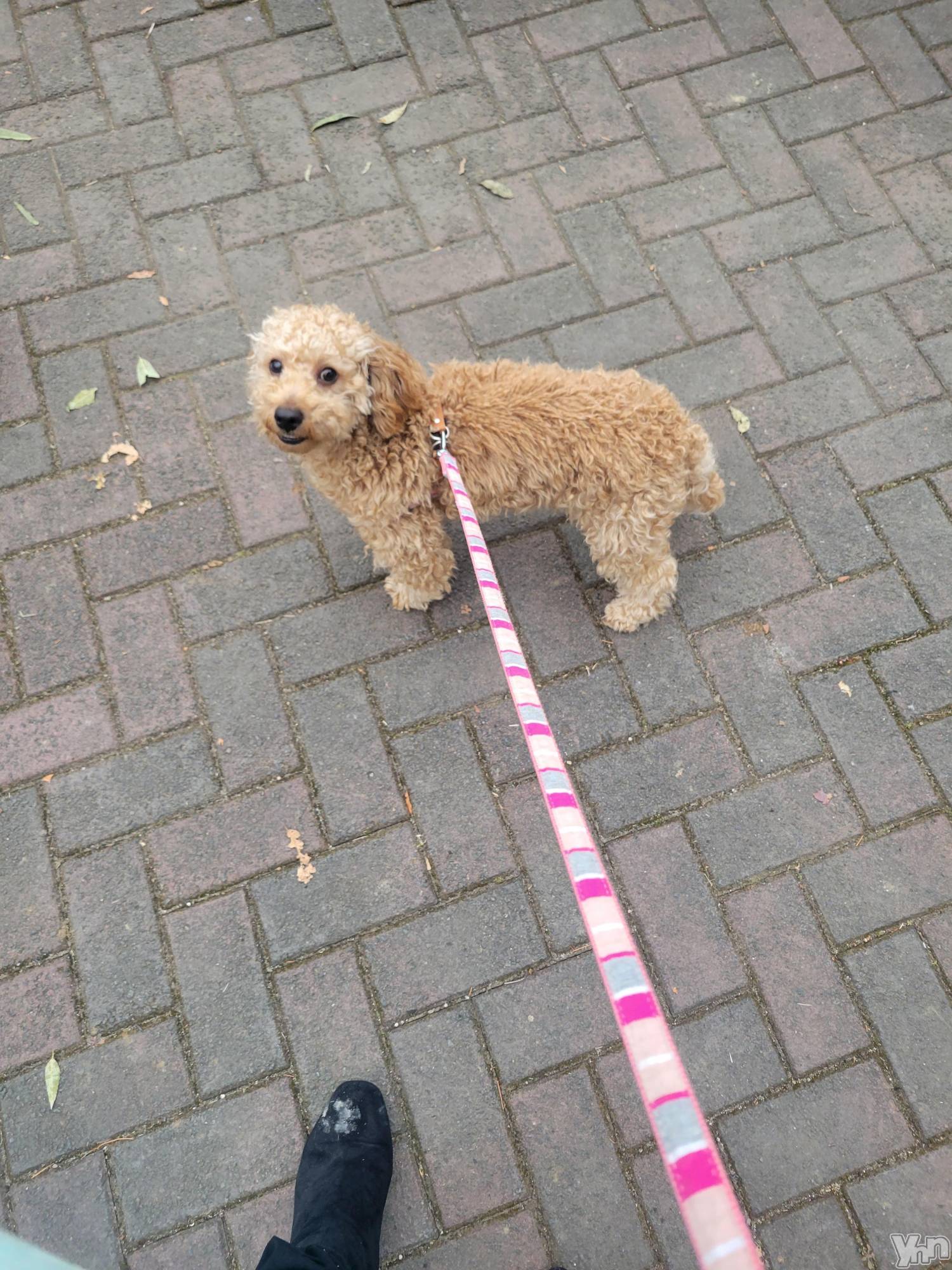 ���ܥ���Х��顦�����club RUDAN(����֥����) ��2023ǯ1��15���̥�֥����֤������