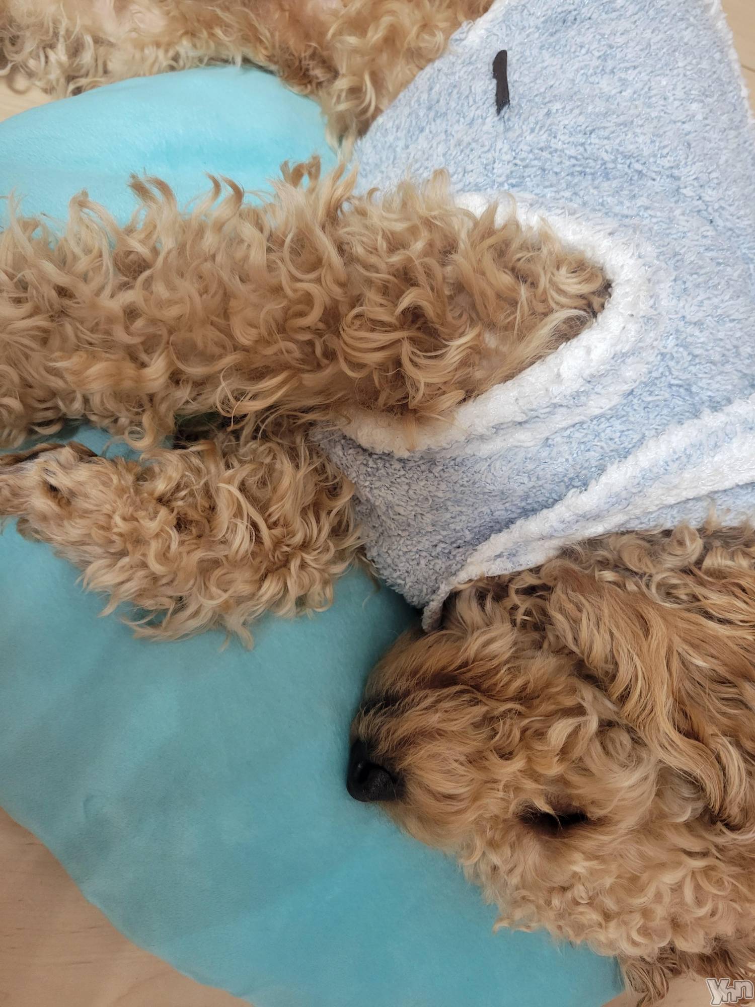 ���ܥ���Х��顦�����club RUDAN(����֥����) ��2023ǯ1��27���̥�֥����֥⥳�⥳��