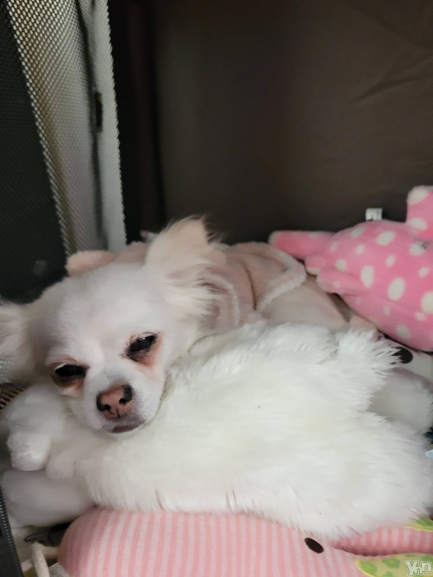 ���ܥ���Х��顦�����club RUDAN(����֥����) ��2023ǯ2��3���̥�֥����֤��뿲��