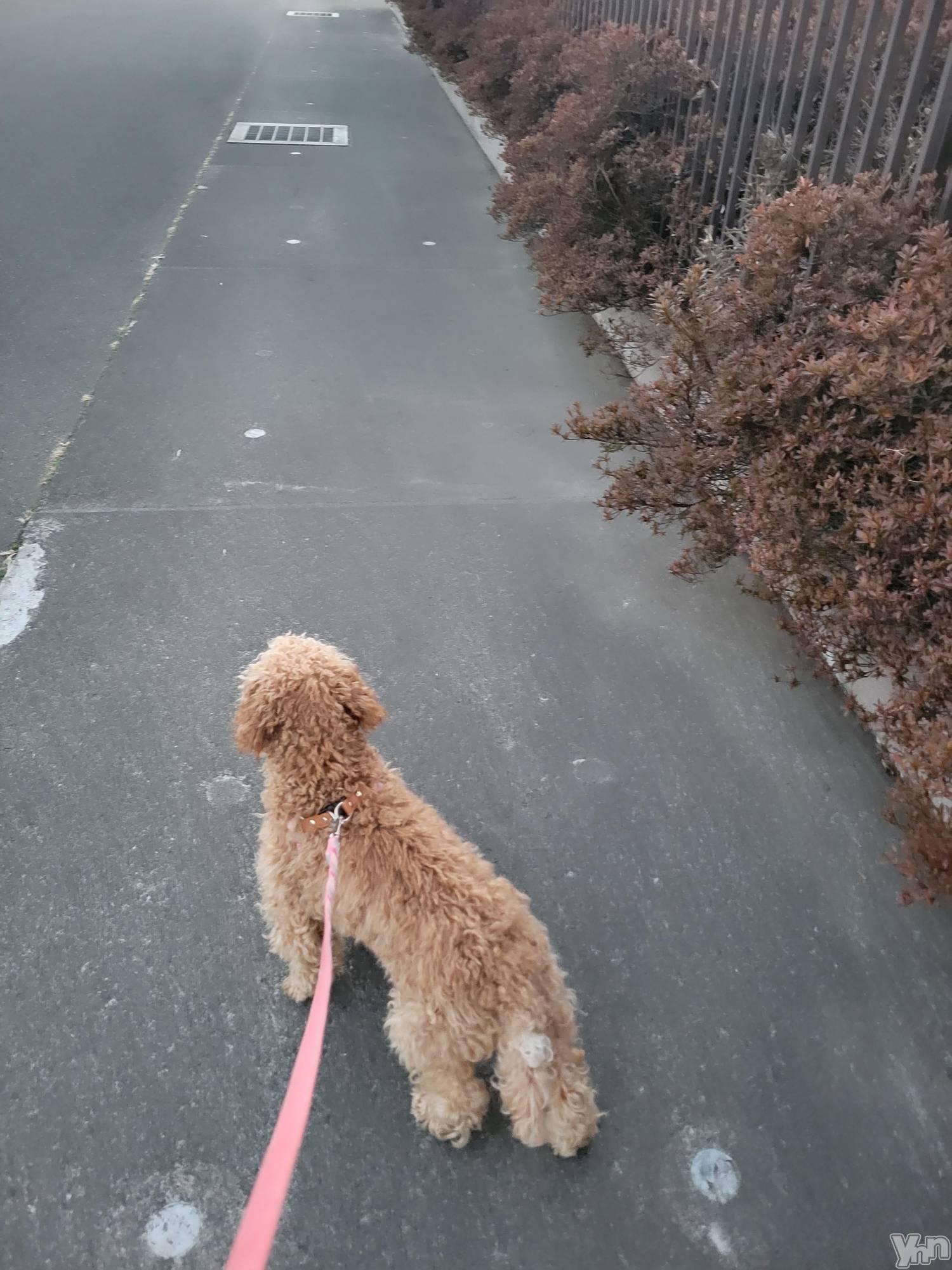 ���ܥ���Х��顦�����club RUDAN(����֥����) ��2023ǯ2��5���̥�֥����ְ������