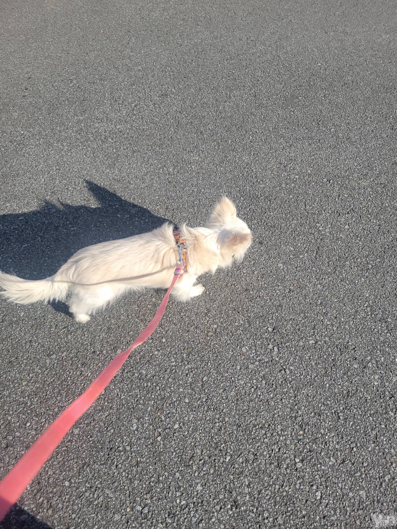 ���ܥ���Х��顦�����club RUDAN(����֥����) ��2023ǯ2��10���̥�֥����֤��������