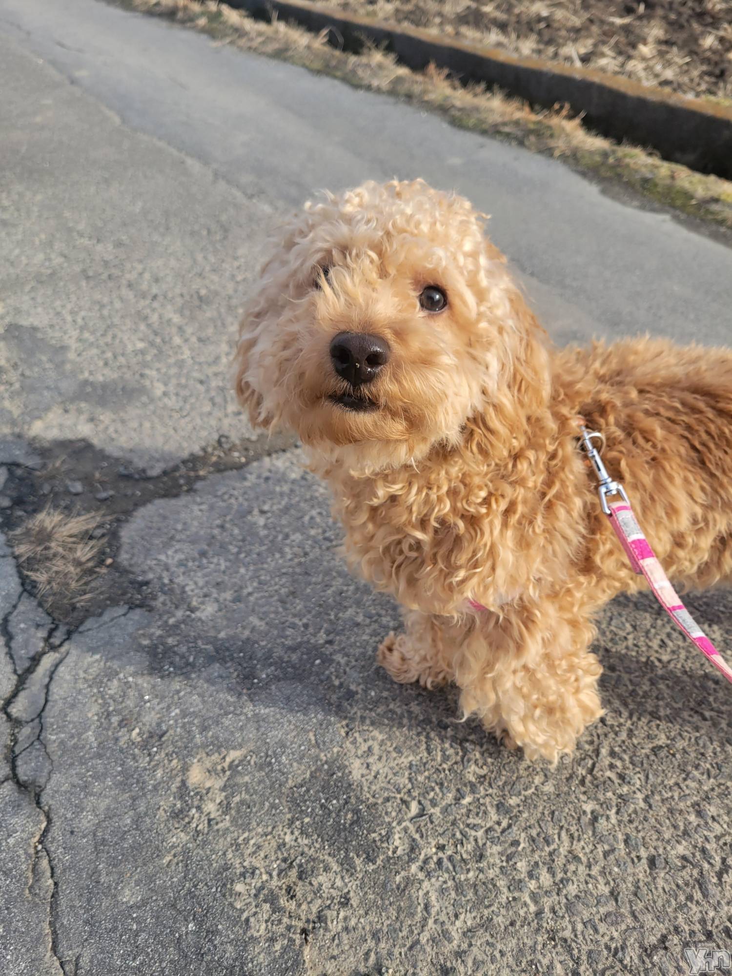 ���ܥ���Х��顦�����club RUDAN(����֥����) ��2023ǯ2��12���̥�֥����֤��������