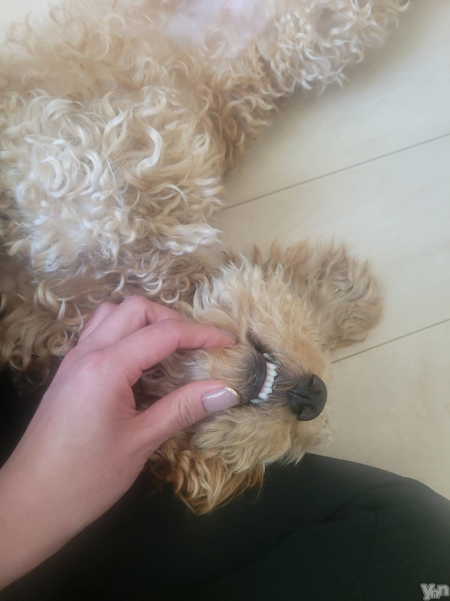 ���ܥ���Х��顦�����club RUDAN(����֥����) ��2023ǯ2��22���̥�֥����֤�դ�դ����