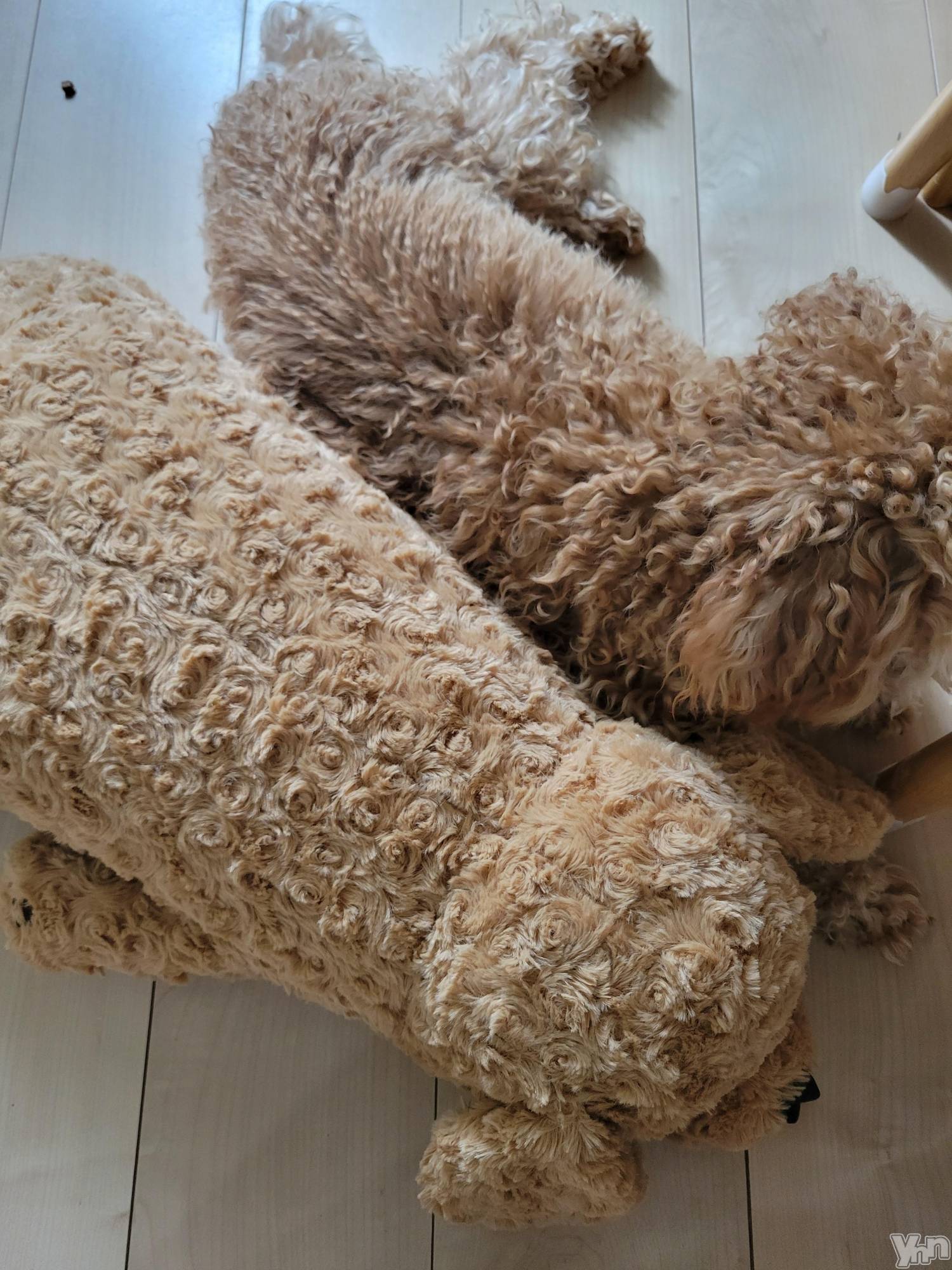 ���ܥ���Х��顦�����club RUDAN(����֥����) ��2023ǯ2��26���̥�֥����֤�ͧã⭐��