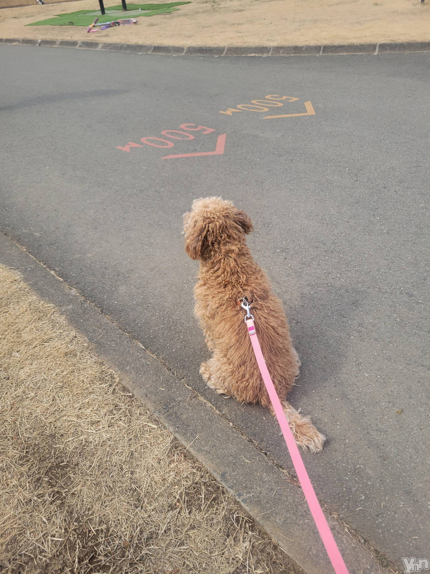 ���ܥ���Х��顦�����club RUDAN(����֥����) ��2023ǯ3��5���̥�֥����֤��������