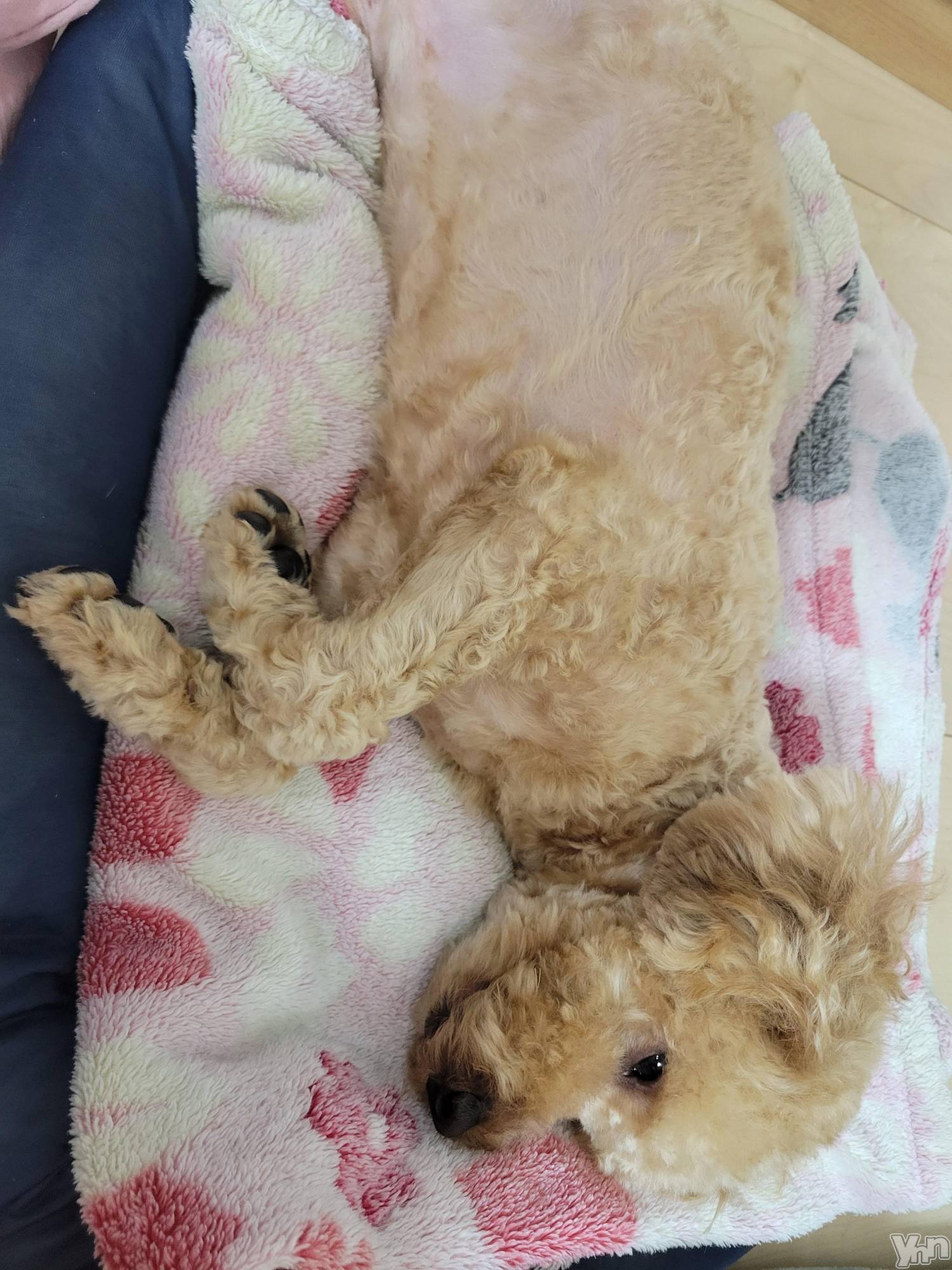 ���ܥ���Х��顦�����club RUDAN(����֥����) ��2023ǯ3��5���̥�֥����֥ȥ�ߥ󥰡�