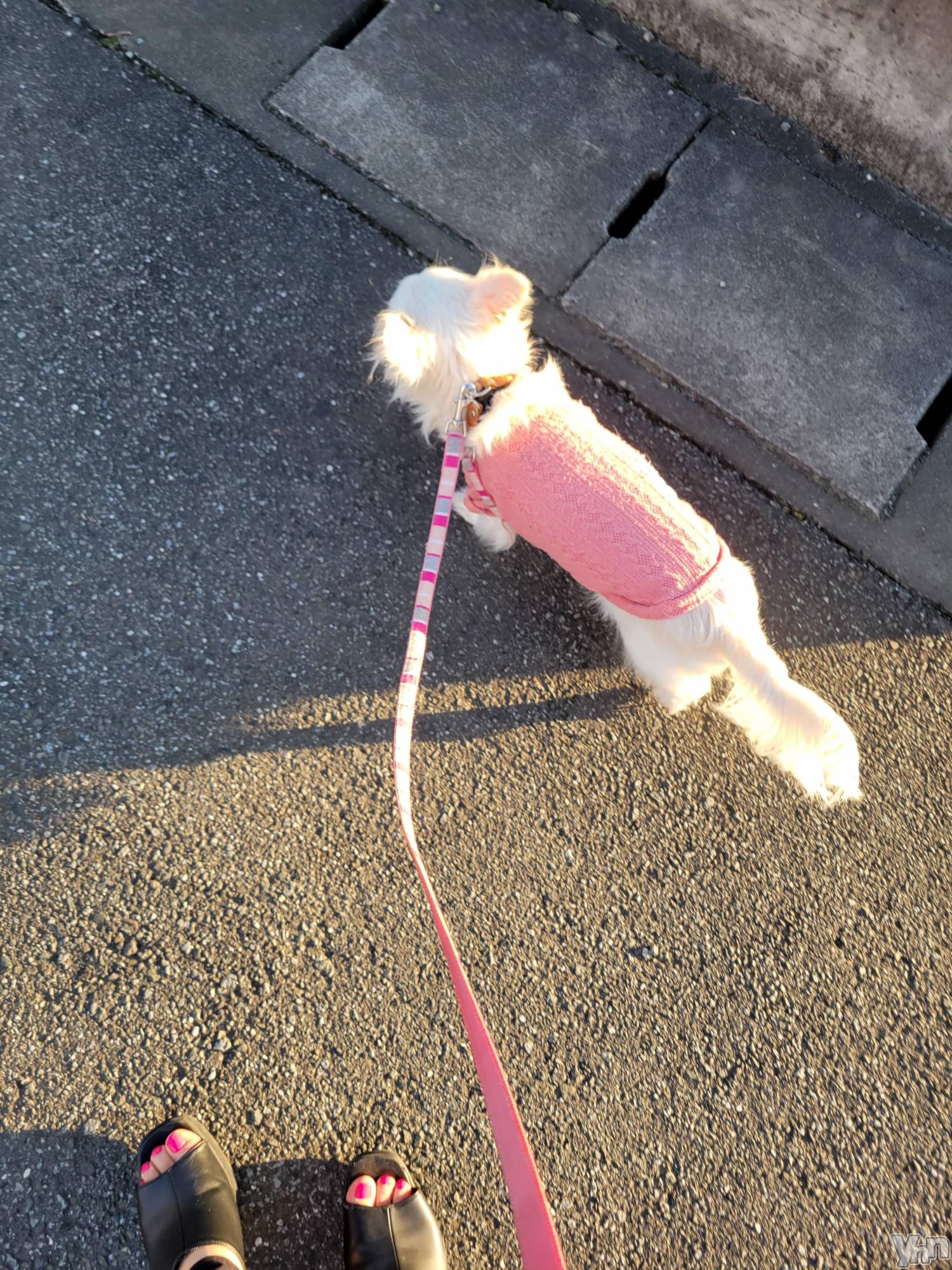 ���ܥ���Х��顦�����club RUDAN(����֥����) ��2023ǯ3��16���̥�֥����֤��������