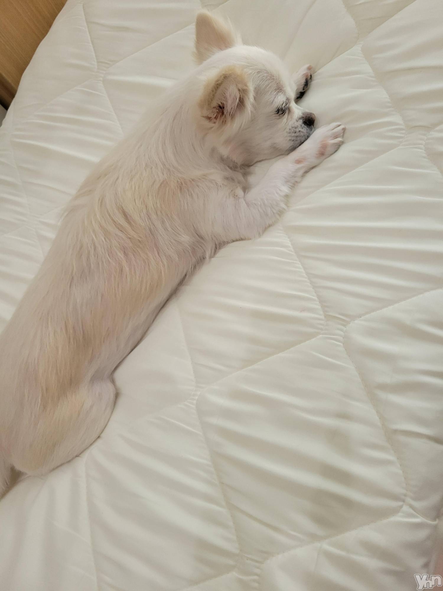 ���ܥ���Х��顦�����club RUDAN(����֥����) ��2023ǯ3��20���̥�֥����֤��뿲⭐��