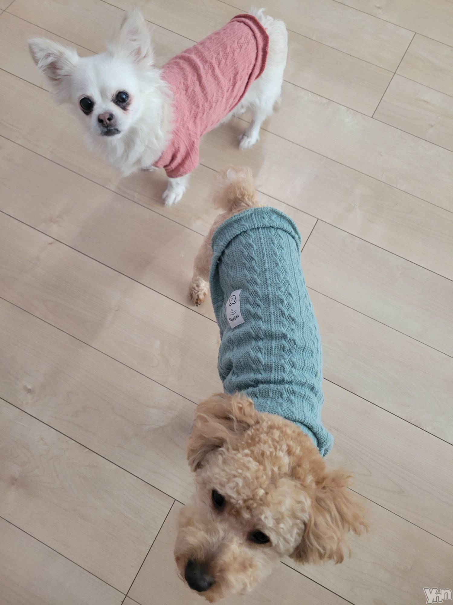 ���ܥ���Х��顦�����club RUDAN(����֥����) ��2023ǯ3��21���̥�֥����֤���������