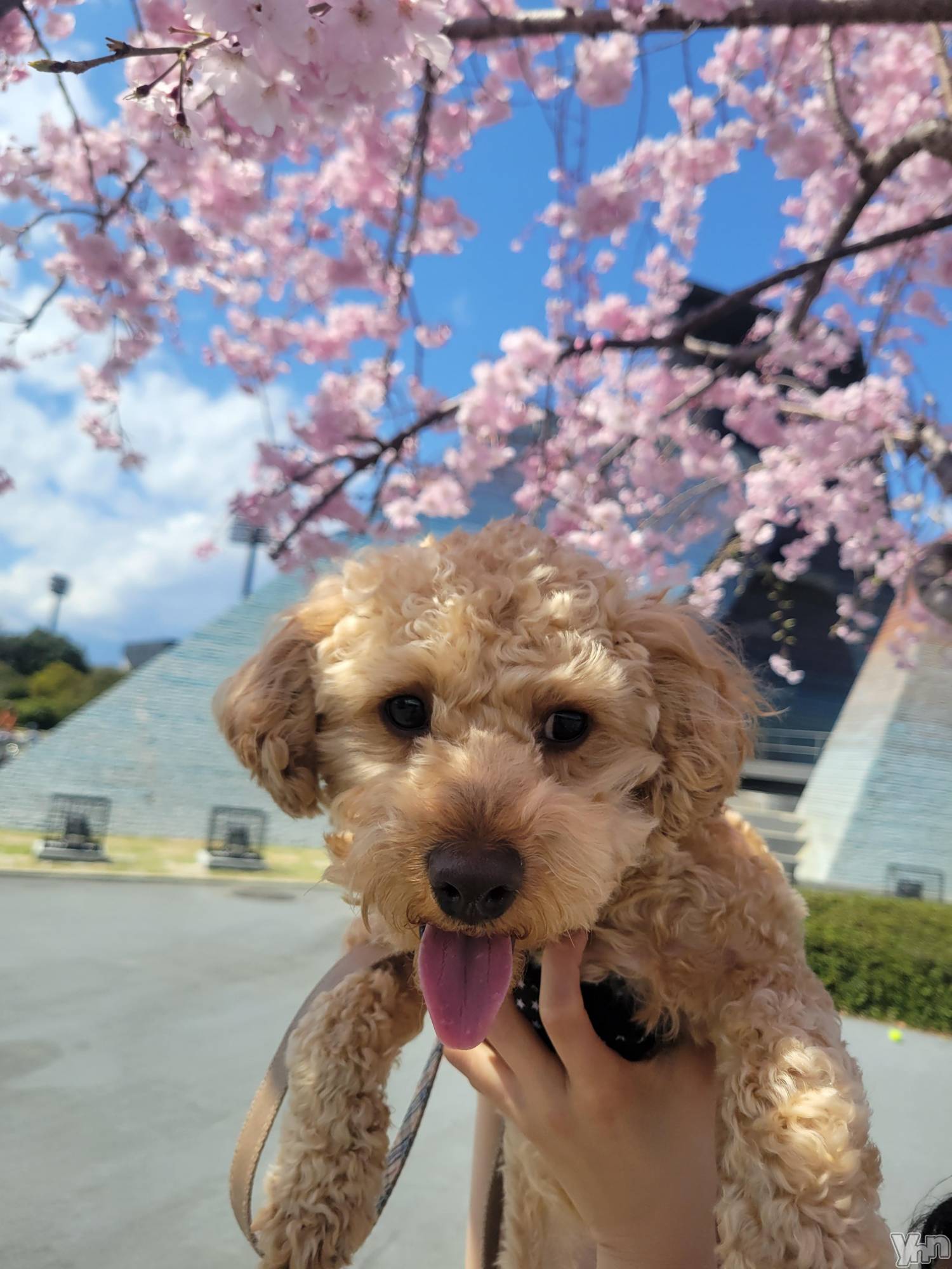 ���ܥ���Х��顦�����club RUDAN(����֥����) ��2023ǯ3��29���̥�֥����֤��ָ���