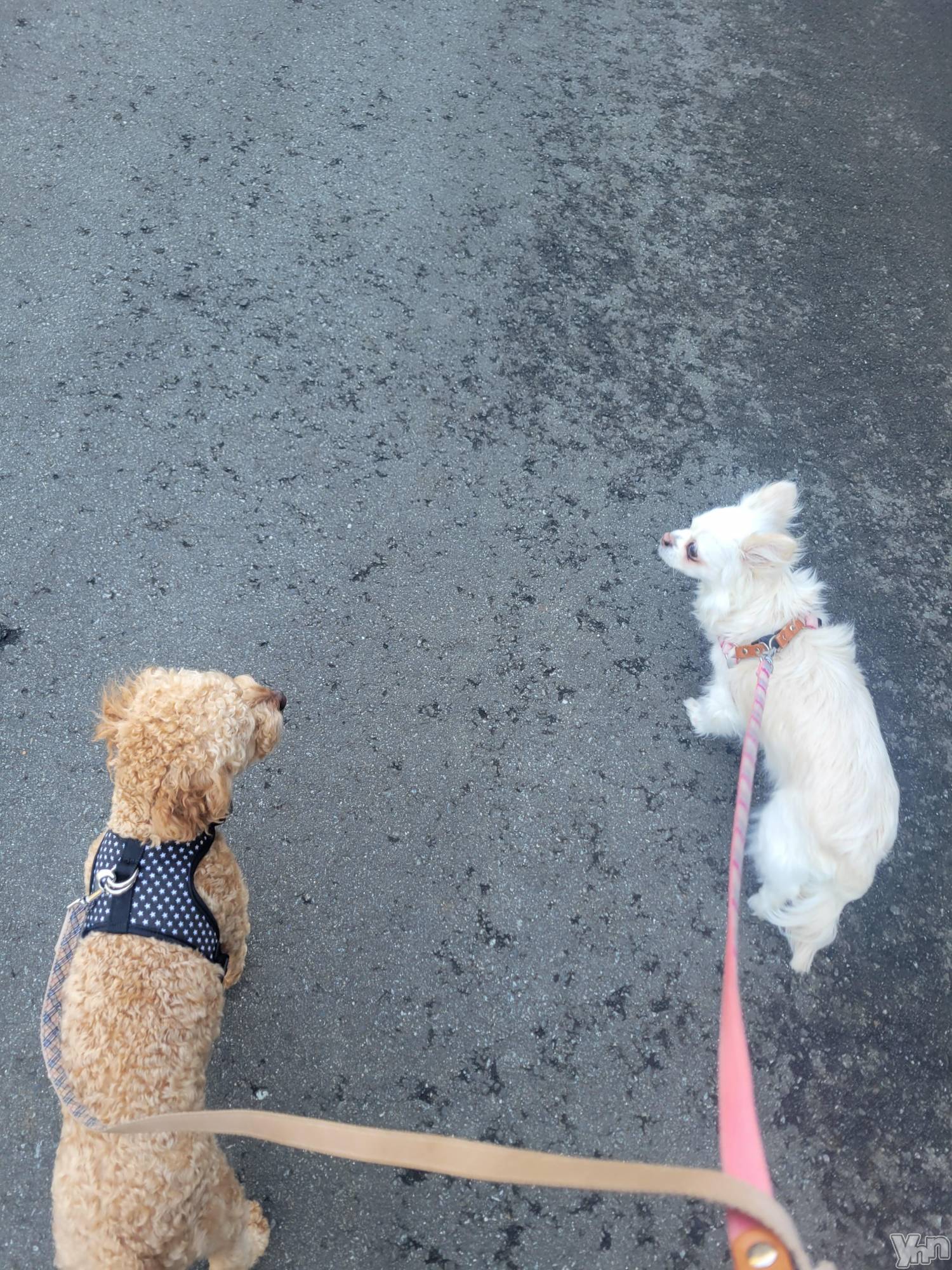 ���ܥ���Х��顦�����club RUDAN(����֥����) ��2023ǯ4��3���̥�֥����֤��������