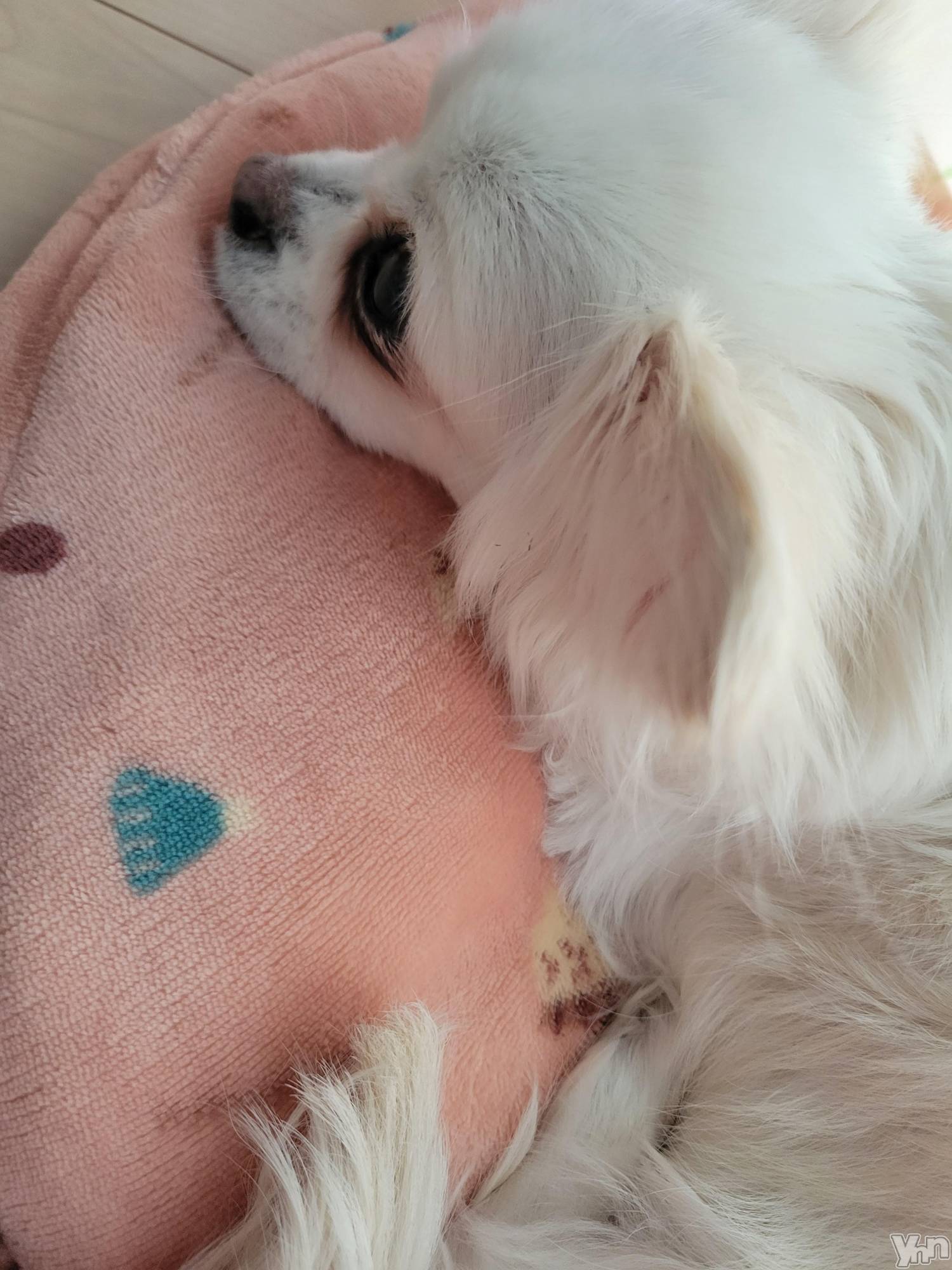 ���ܥ���Х��顦�����club RUDAN(����֥����) ��2023ǯ4��8���̥�֥����֤��䤹�ߡ�