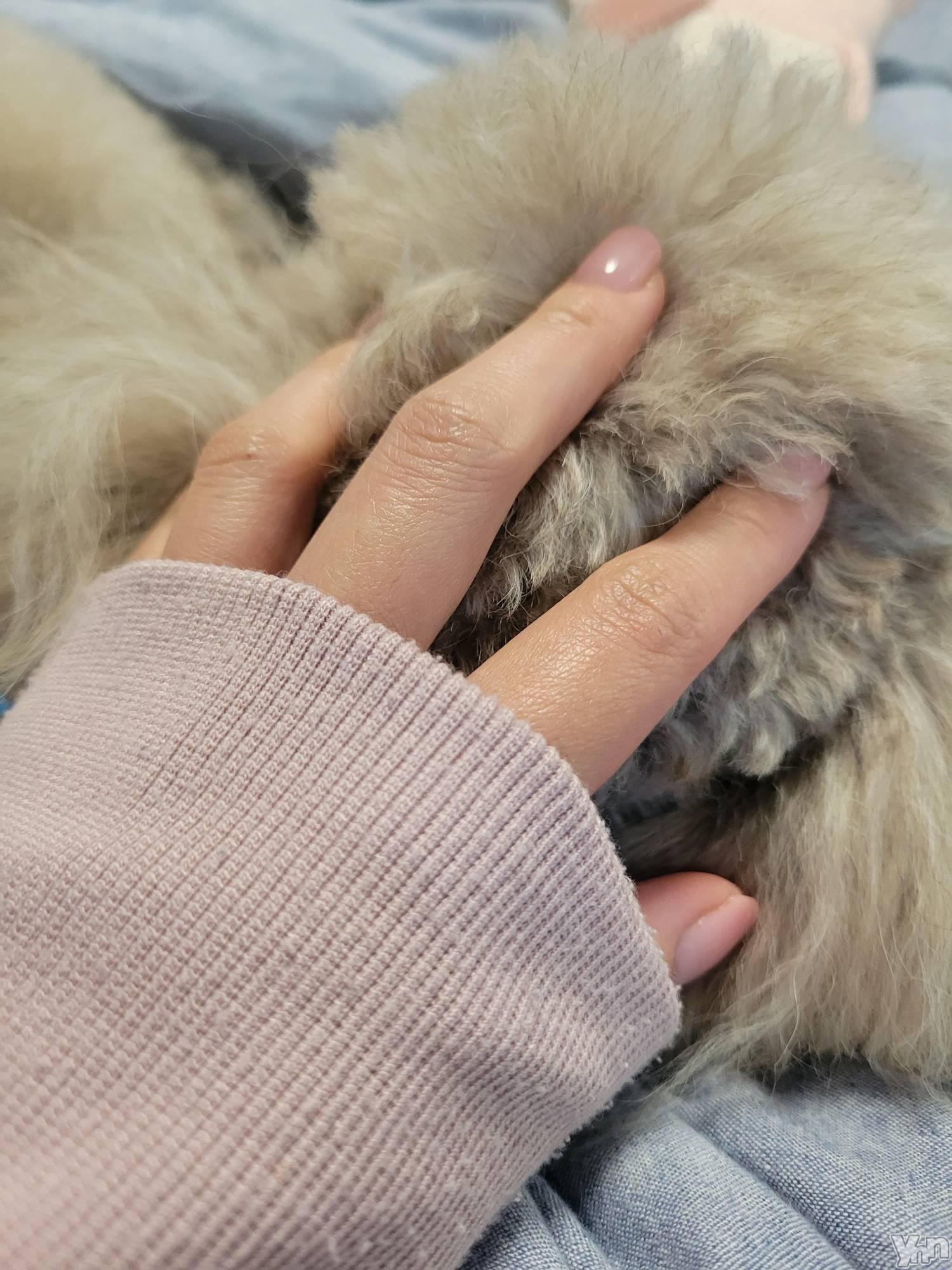 ���ܥ���Х��顦�����club RUDAN(����֥����) ��2023ǯ4��11���̥�֥����֤�դ�ա�