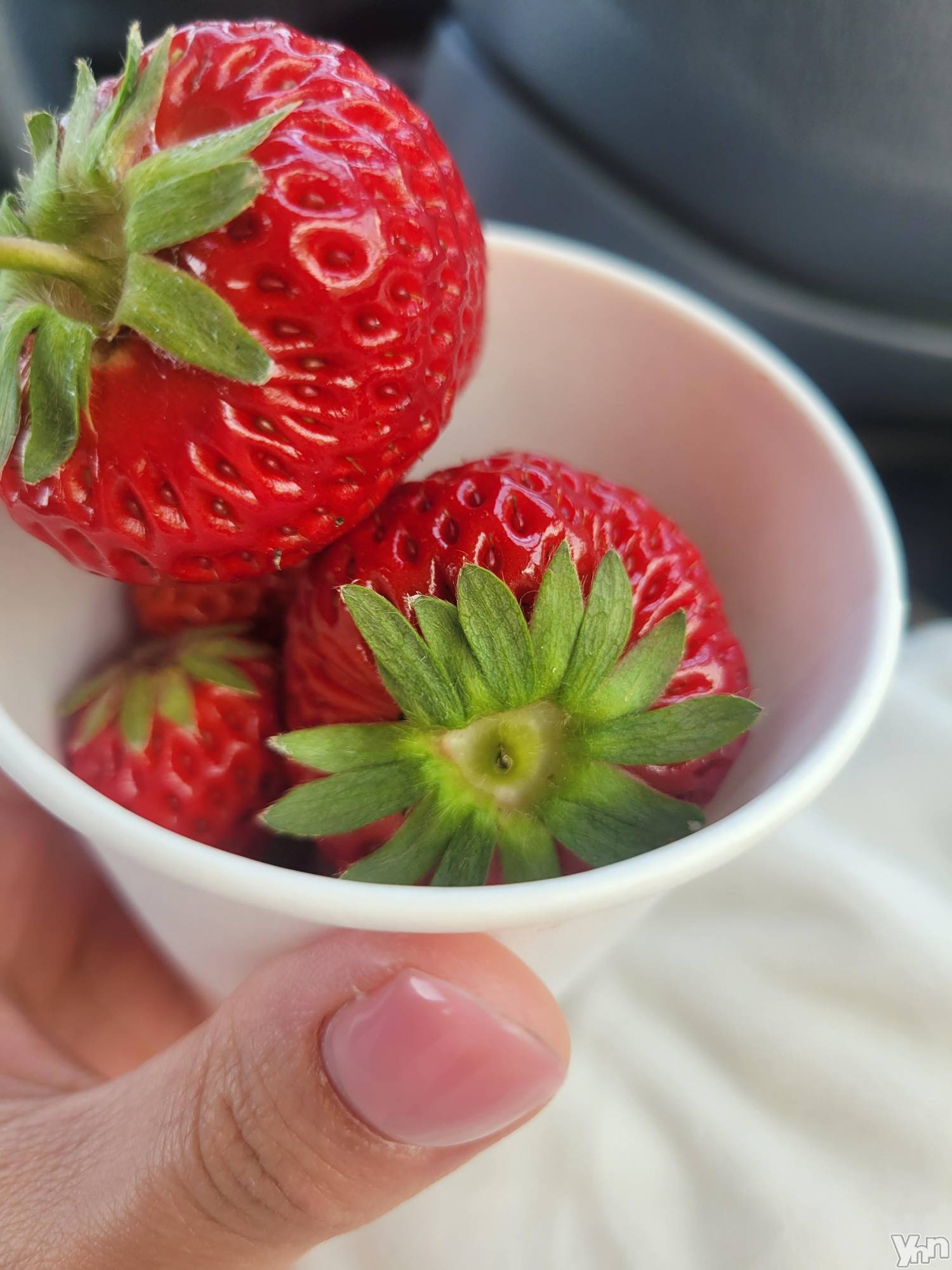 ���ܥ���Х��顦�����club RUDAN(����֥����) ��2023ǯ4��19���̥�֥����֤���ġ�