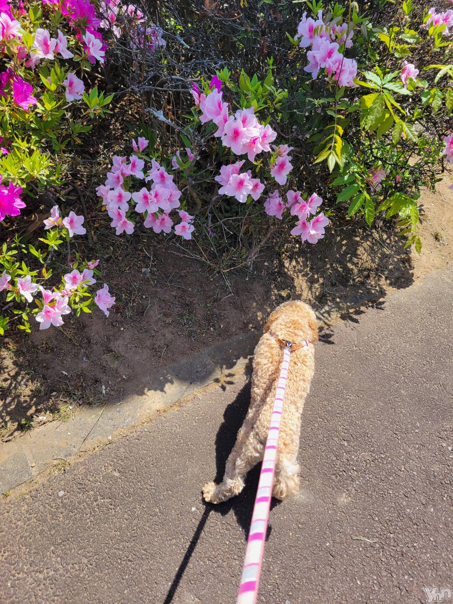 ���ܥ���Х��顦�����club RUDAN(����֥����) ��2023ǯ5��5���̥�֥����֤��������