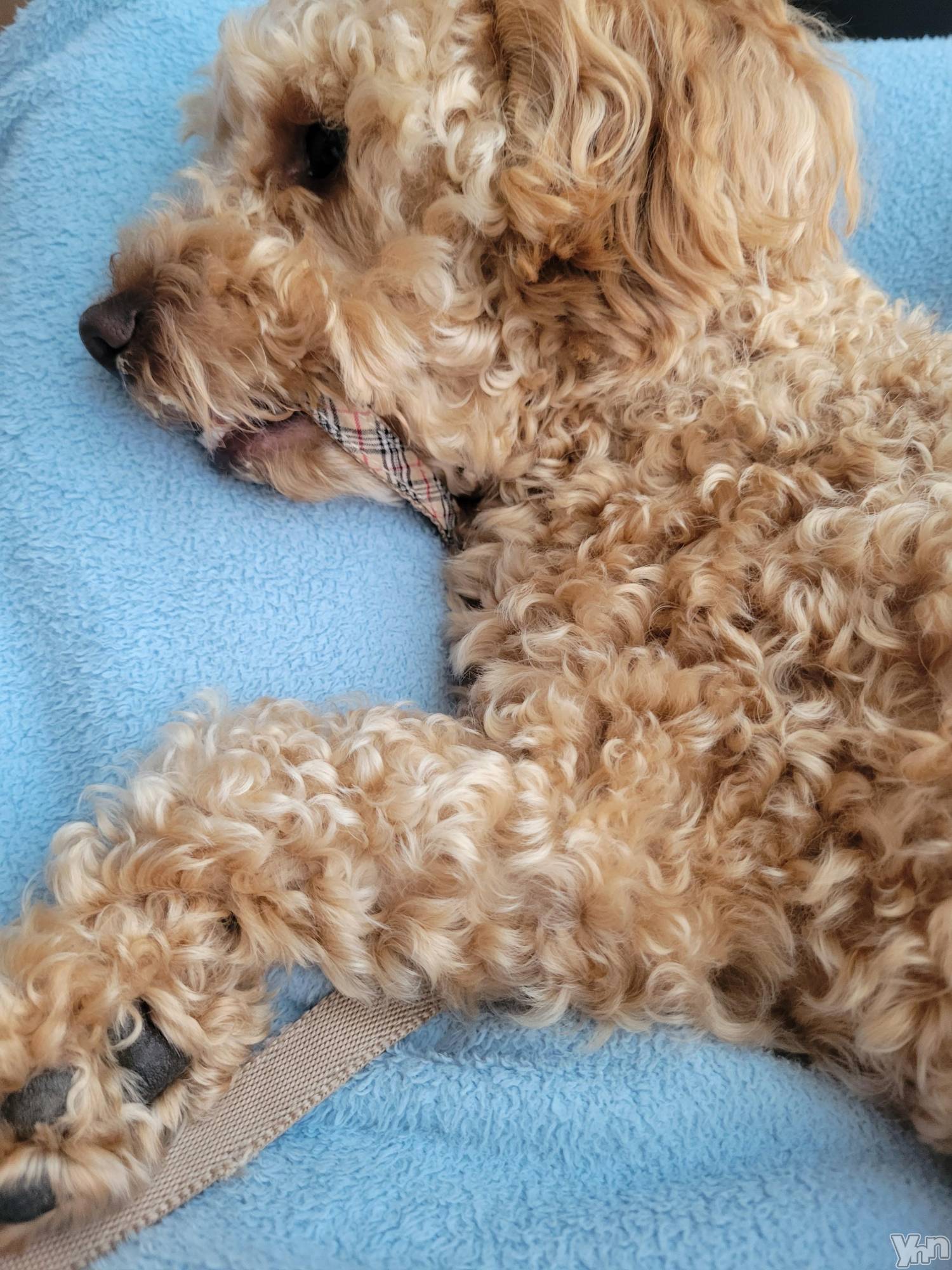 ���ܥ���Х��顦�����club RUDAN(����֥����) ��2023ǯ5��9���̥�֥�����ȿ������