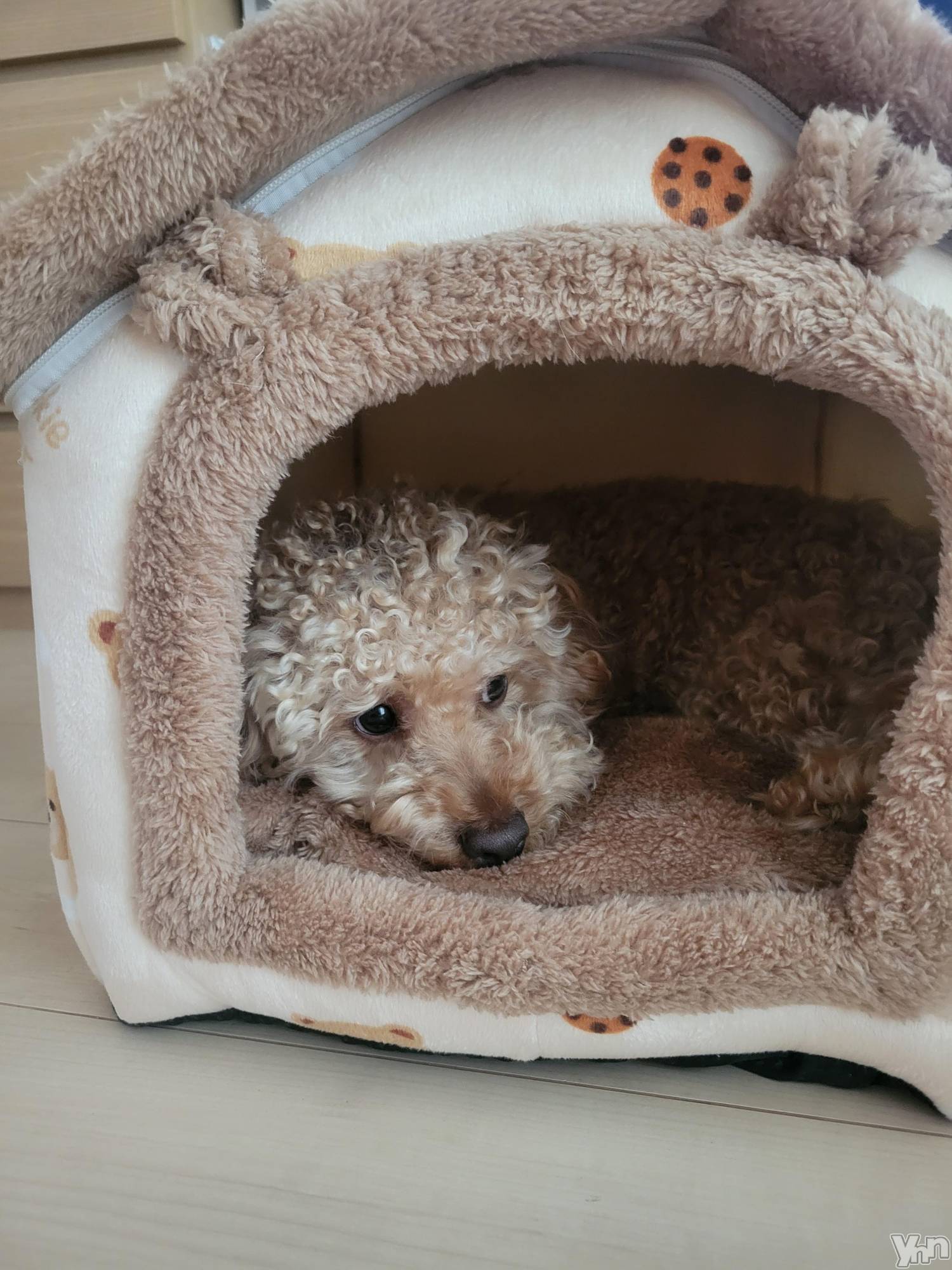 ���ܥ���Х��顦�����club RUDAN(����֥����) ��2023ǯ5��20���̥�֥����ֿ�������������