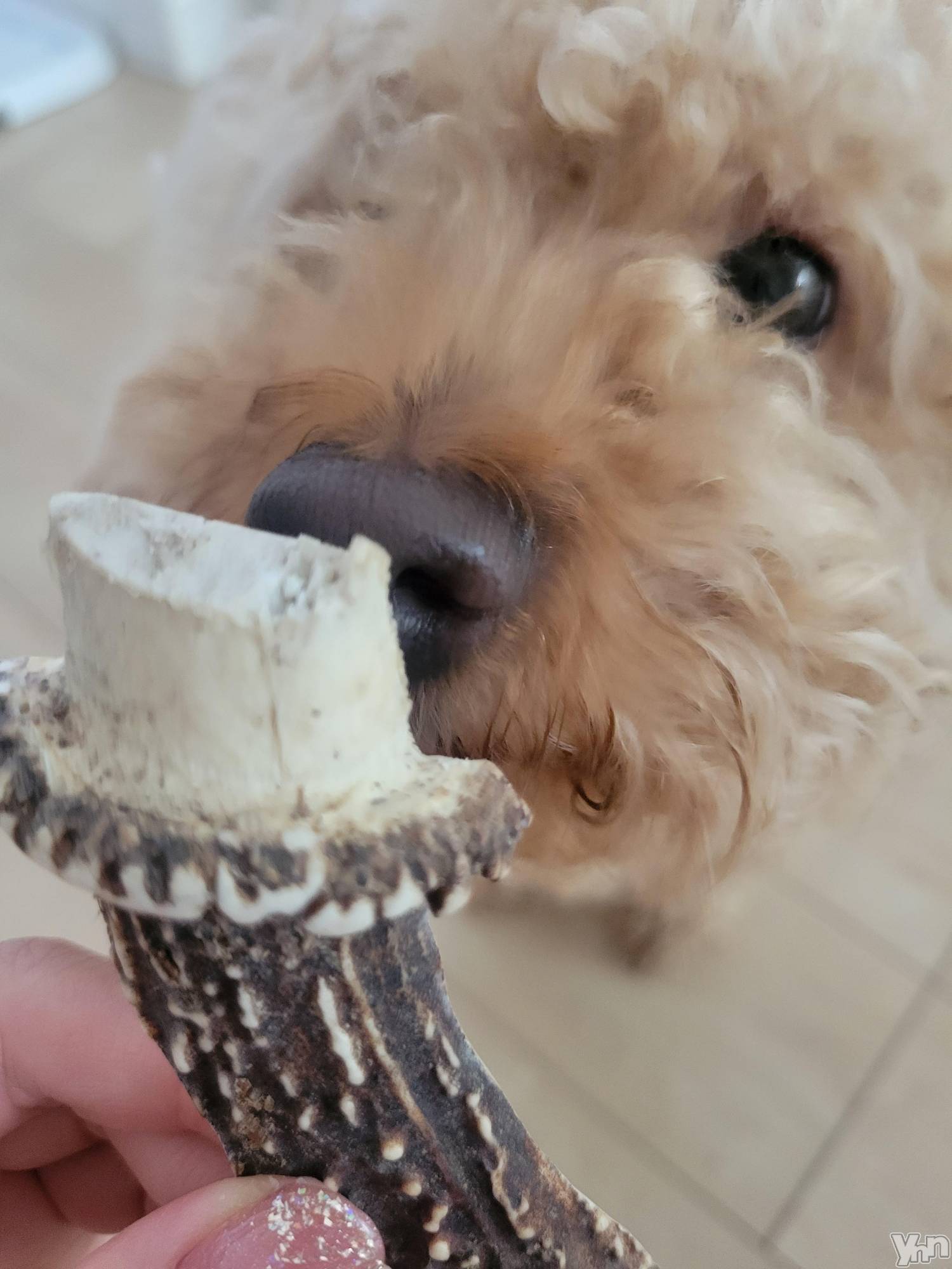 ���ܥ���Х��顦�����club RUDAN(����֥����) ��2023ǯ6��17���̥�֥����ּ��γѡ�