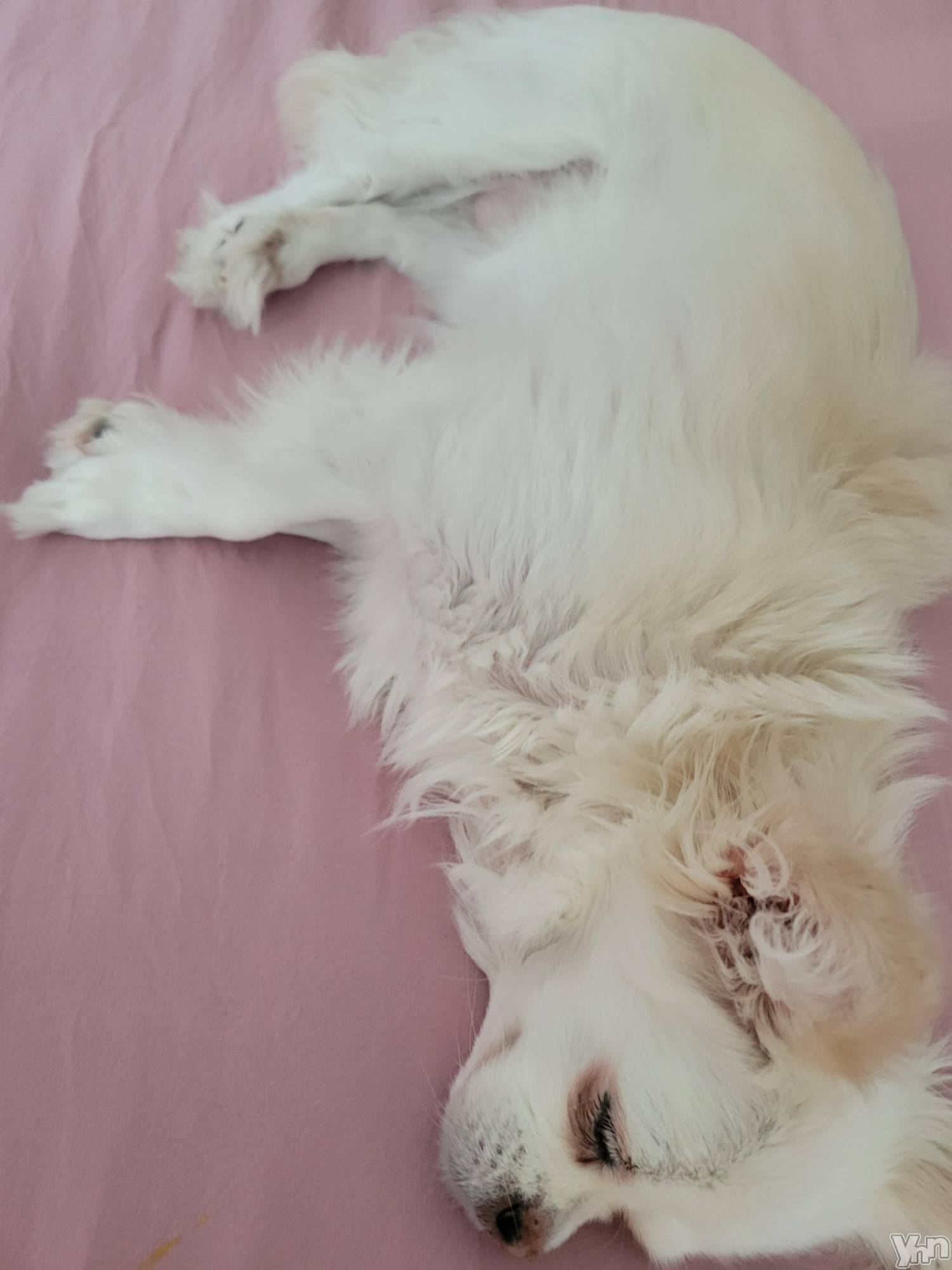 ���ܥ���Х��顦�����club RUDAN(����֥����) ��2023ǯ6��29���̥�֥����֥᥿�ܡ�