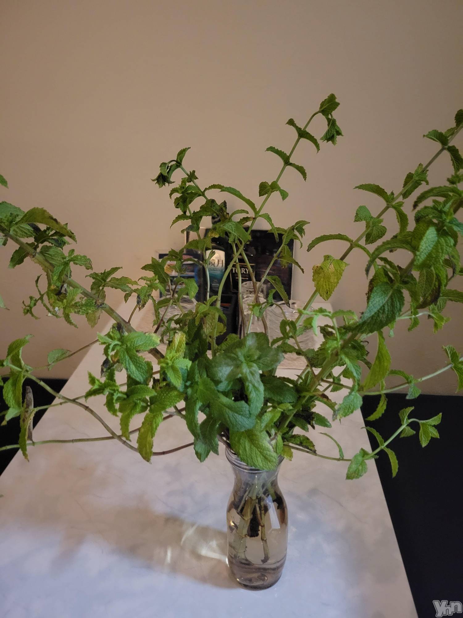 ���ܥ���Х��顦�����club RUDAN(����֥����) ��2023ǯ7��6���̥�֥����֥ߥ�ȡ�