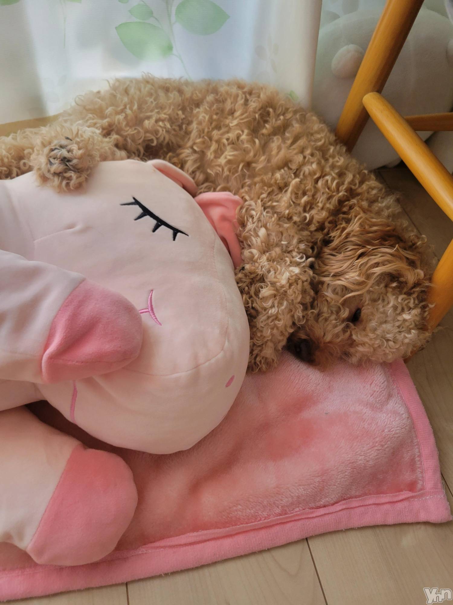 ���ܥ���Х��顦�����club RUDAN(����֥����) ��2023ǯ7��6���̥�֥����֥�˥�����(*����`)��