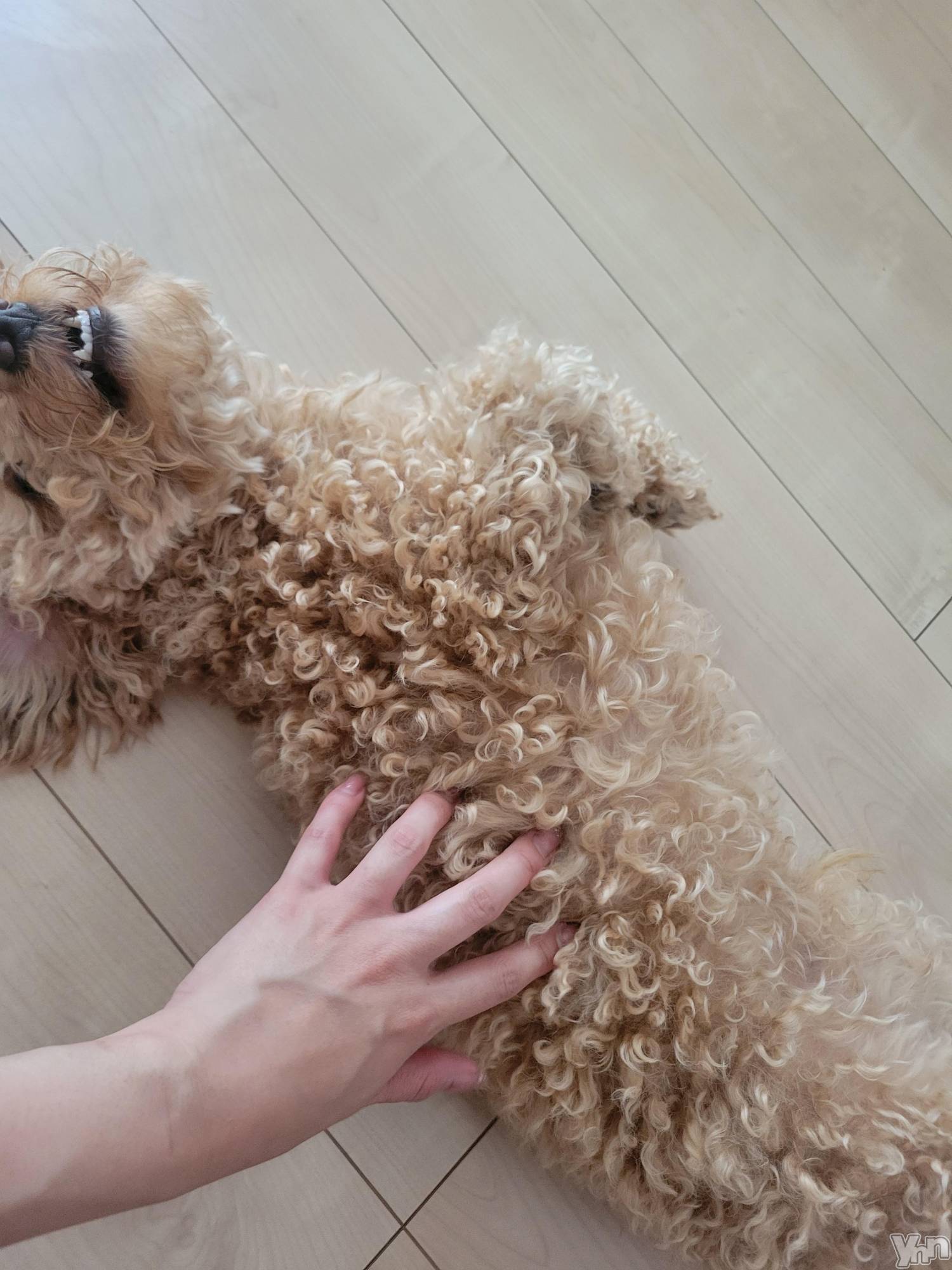 ���ܥ���Х��顦�����club RUDAN(����֥����) ��2023ǯ7��14���̥�֥�����7��14�� 09��57ʬ�Υ֥�����