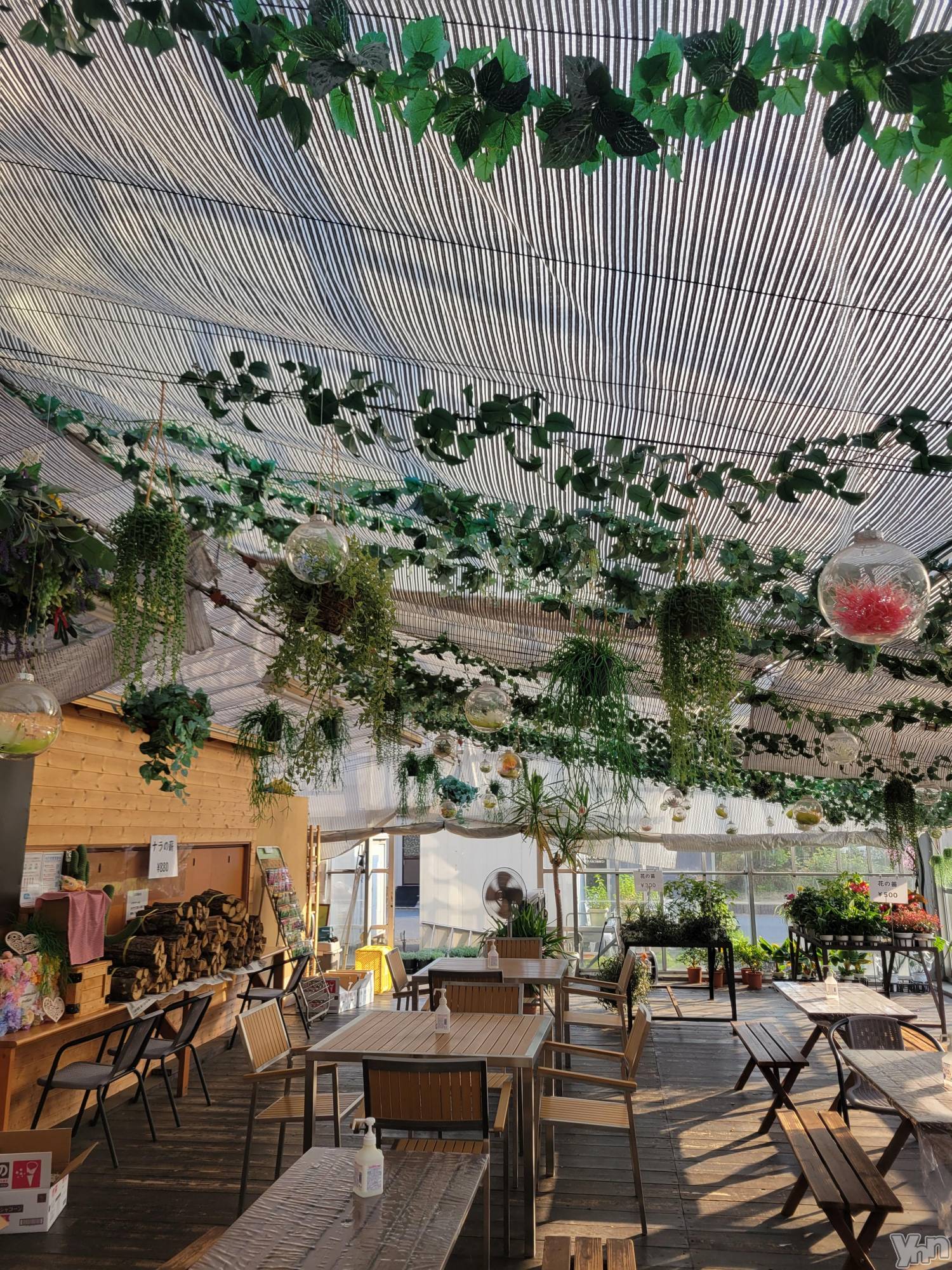 ���ܥ���Х��顦�����club RUDAN(����֥����) ��2023ǯ7��22���̥�֥����֥ϡ��ִۡ�