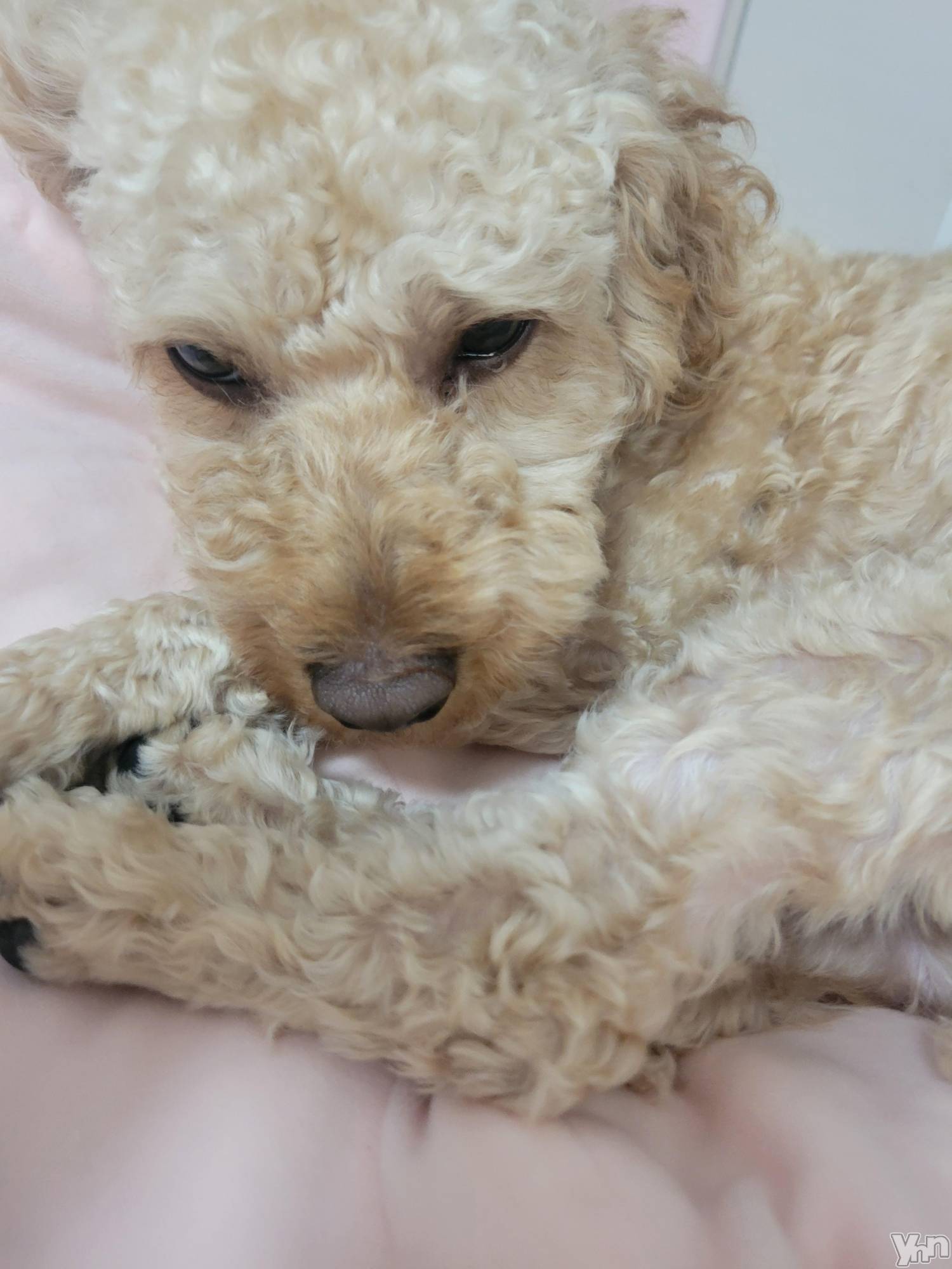 ���ܥ���Х��顦�����club RUDAN(����֥����) ��2023ǯ9��6���̥�֥����֤⤳�⤳����