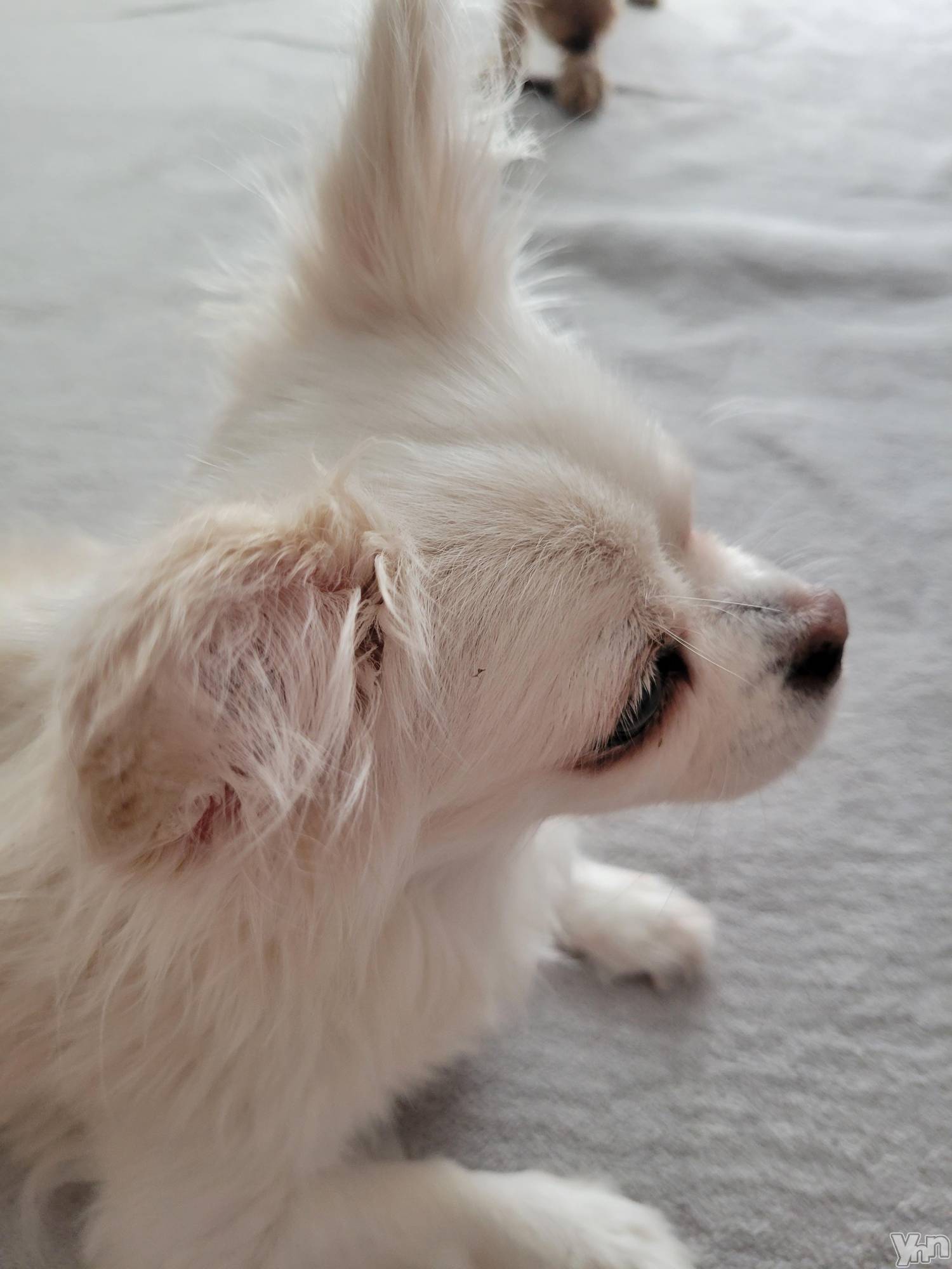 ���ܥ���Х��顦�����club RUDAN(����֥����) ��2023ǯ9��10���̥�֥����֥����ڥåȡ�