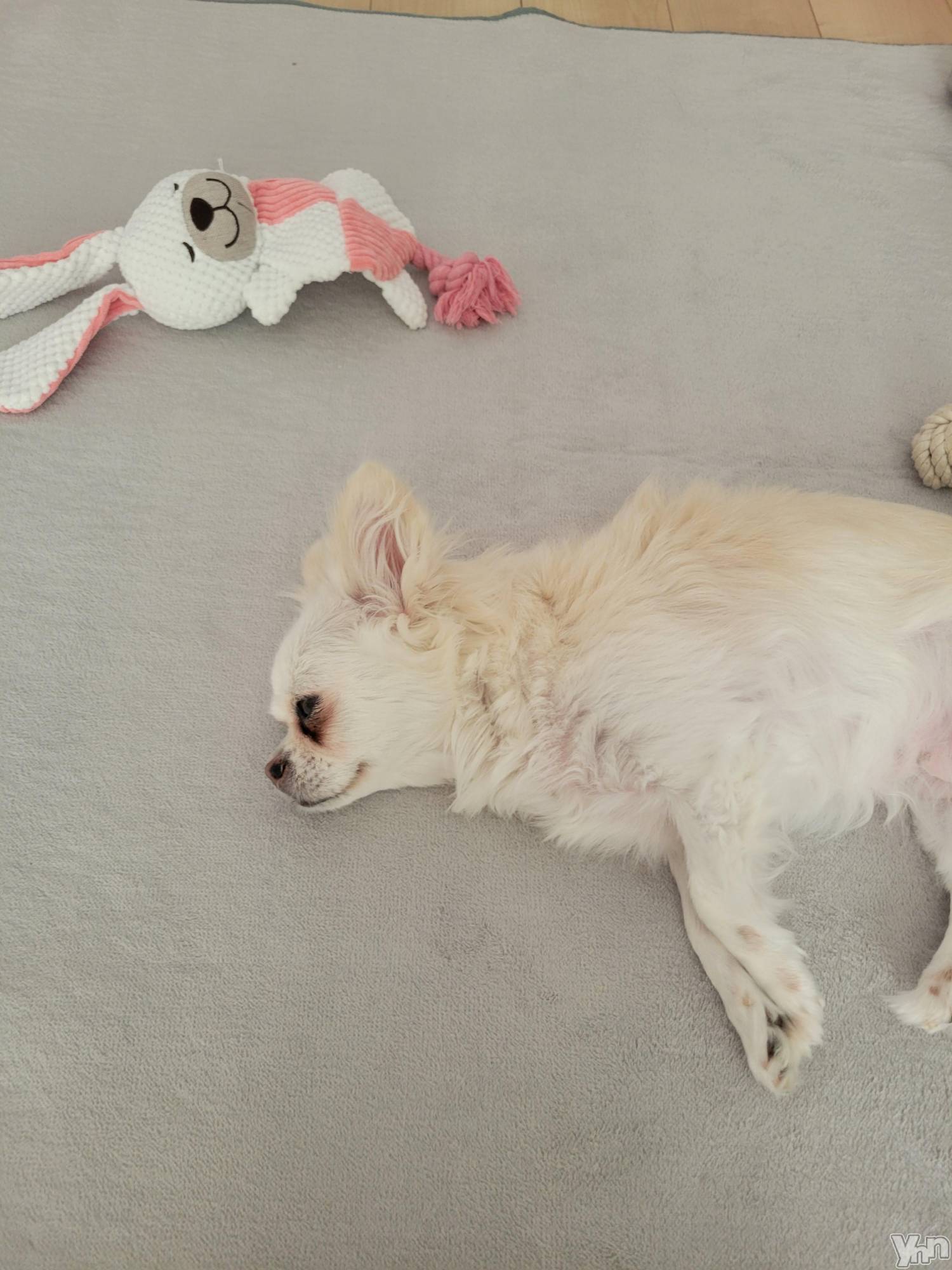 ���ܥ���Х��顦�����club RUDAN(����֥����) ��2023ǯ9��16���̥�֥�������Ĵ���ɡ�