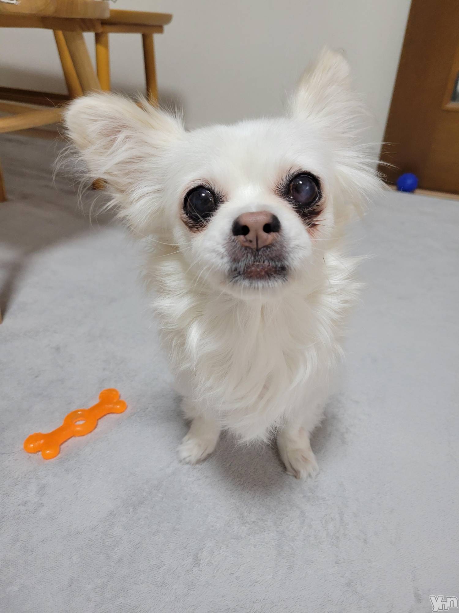 ���ܥ���Х��顦�����club RUDAN(����֥����) ��2023ǯ9��27���̥�֥����������Ѥ���