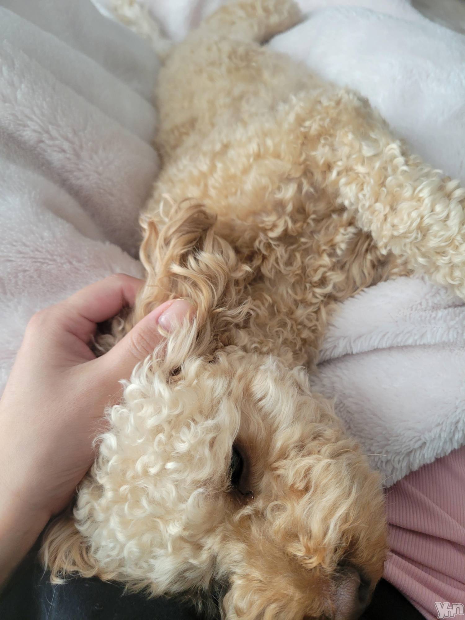 ���ܥ���Х��顦�����club RUDAN(����֥����) ��2023ǯ10��9���̥�֥����֤⤳�⤳����