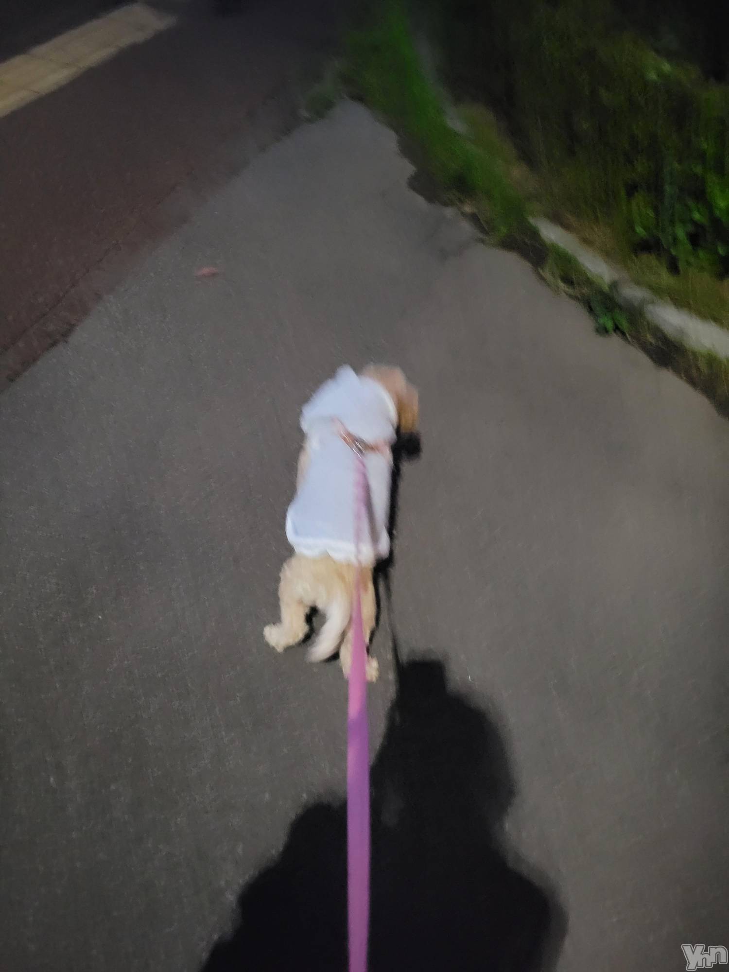 ���ܥ���Х��顦�����club RUDAN(����֥����) ��2023ǯ10��15���̥�֥����֤������