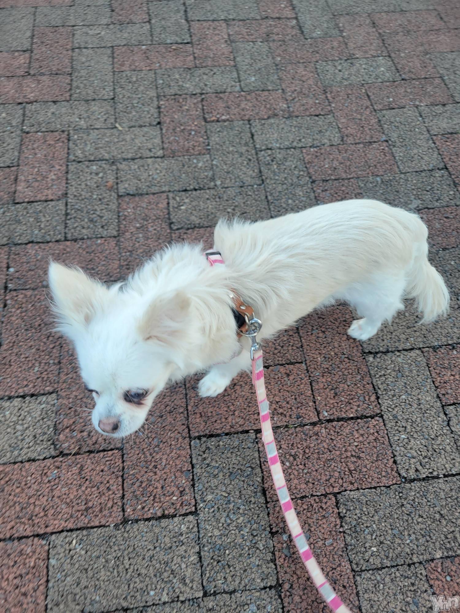 ���ܥ���Х��顦�����club RUDAN(����֥����) ��2023ǯ10��16���̥�֥����֤������