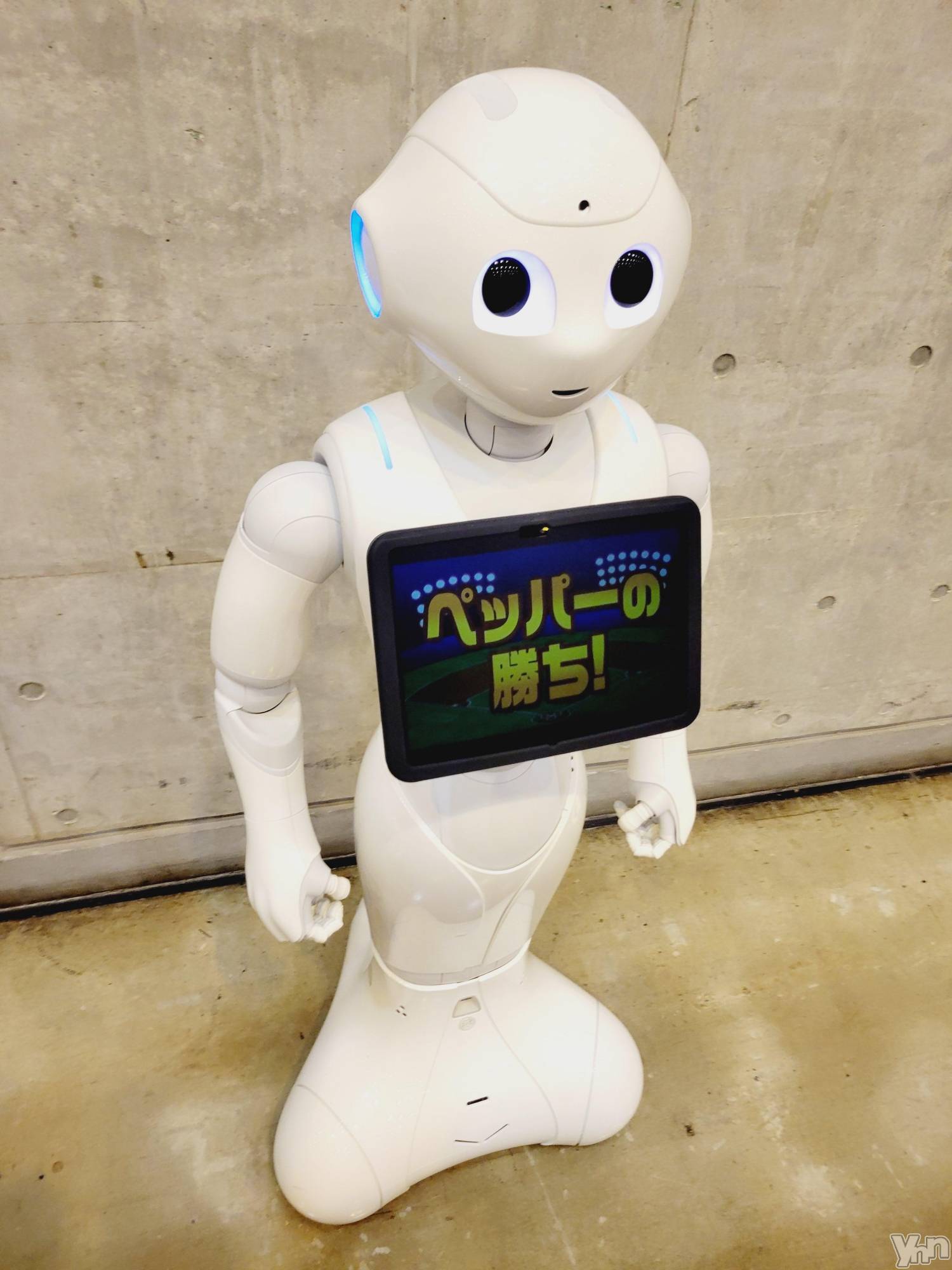 ���ܥ���Х��顦�����club RUDAN(����֥����) ��2023ǯ11��4���̥�֥����֥ڥåѡ�����