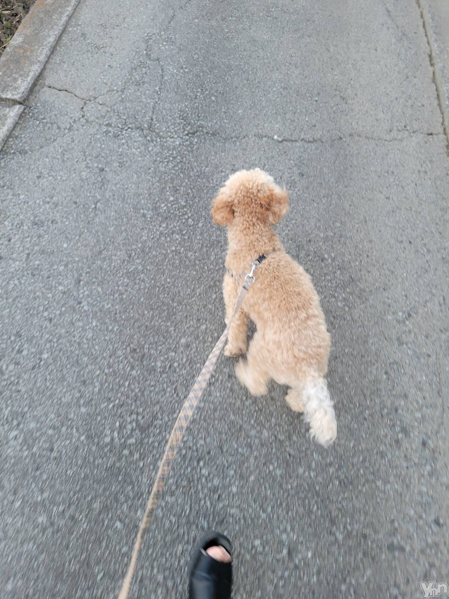 ���ܥ���Х��顦�����club RUDAN(����֥����) ��2023ǯ11��13���̥�֥����֤������