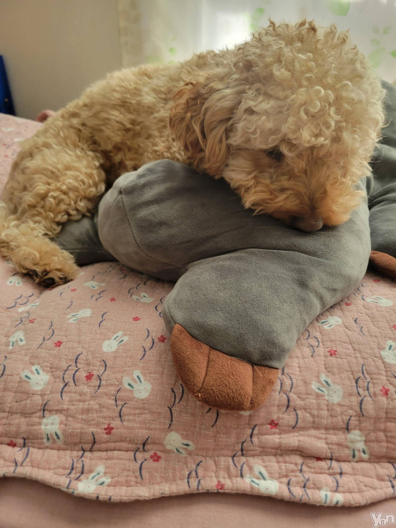 ���ܥ���Х��顦�����club RUDAN(����֥����) ��2023ǯ11��22���̥�֥����֤�դ�շ���