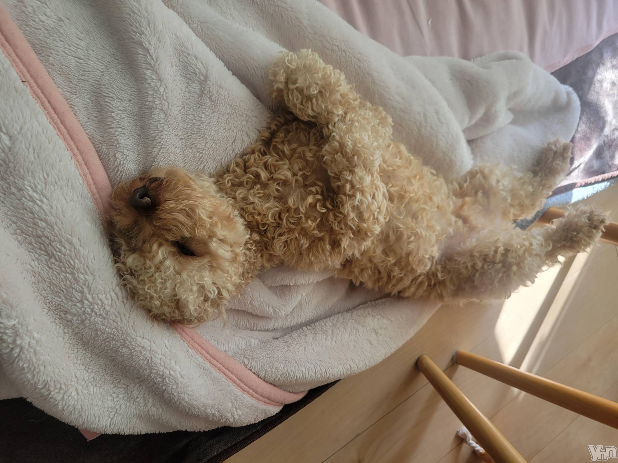 ���ܥ���Х��顦�����club RUDAN(����֥����) ��2023ǯ11��28���̥�֥�����11��28�� 16��03ʬ�Υ֥�����