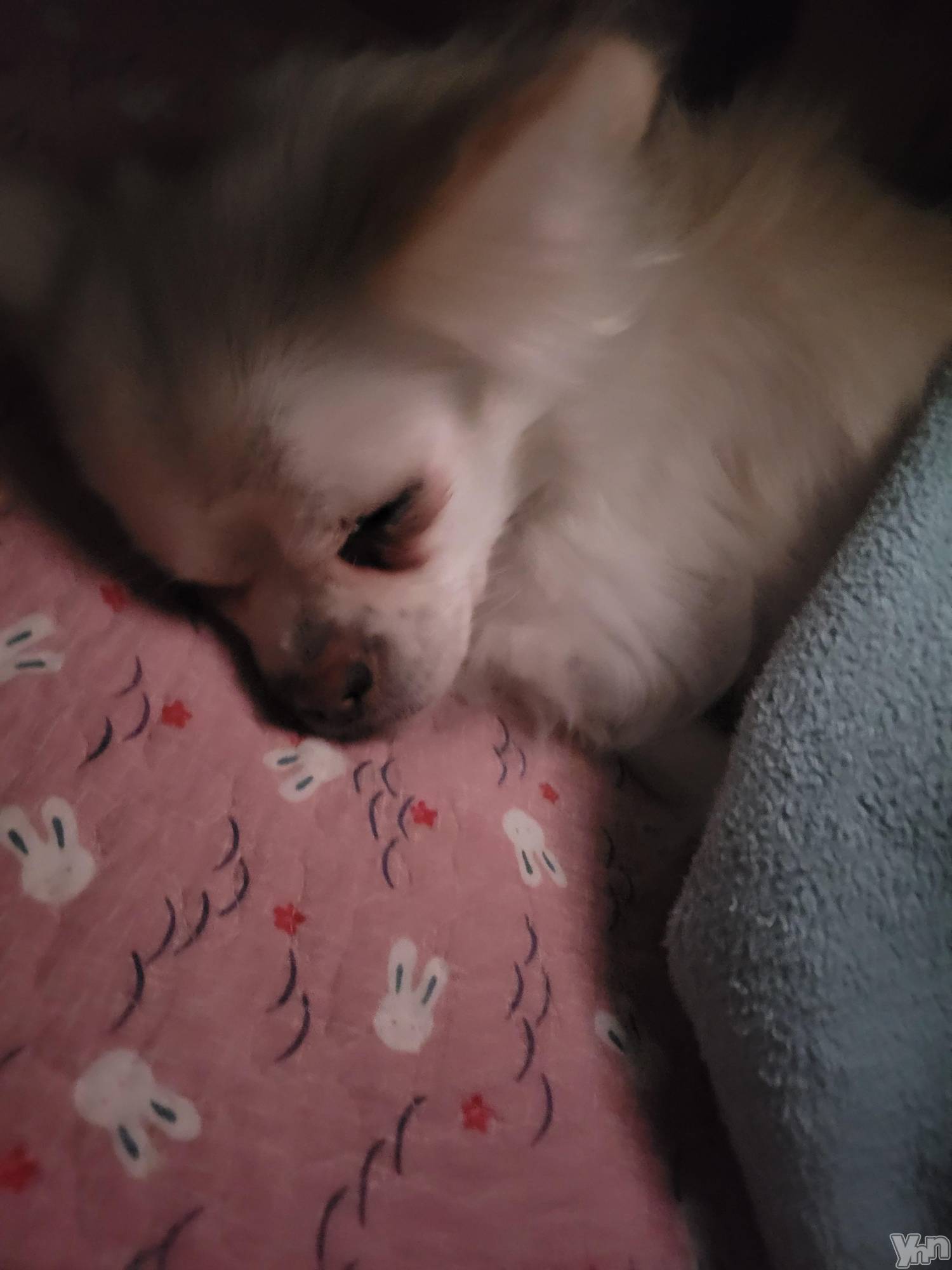 ���ܥ���Х��顦�����club RUDAN(����֥����) ��2023ǯ12��10���̥�֥���������( *��︶`*)��