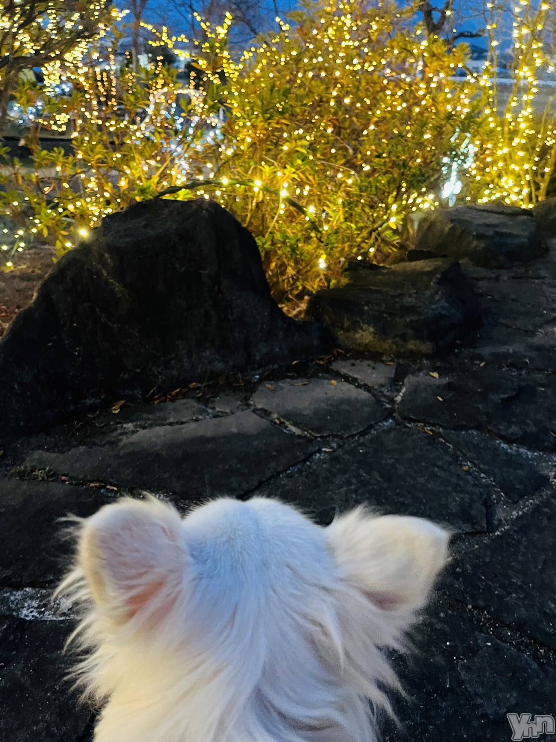 ���ܥ���Х��顦�����club RUDAN(����֥����) ��2023ǯ12��24���̥�֥����֥���ߥ͡�������