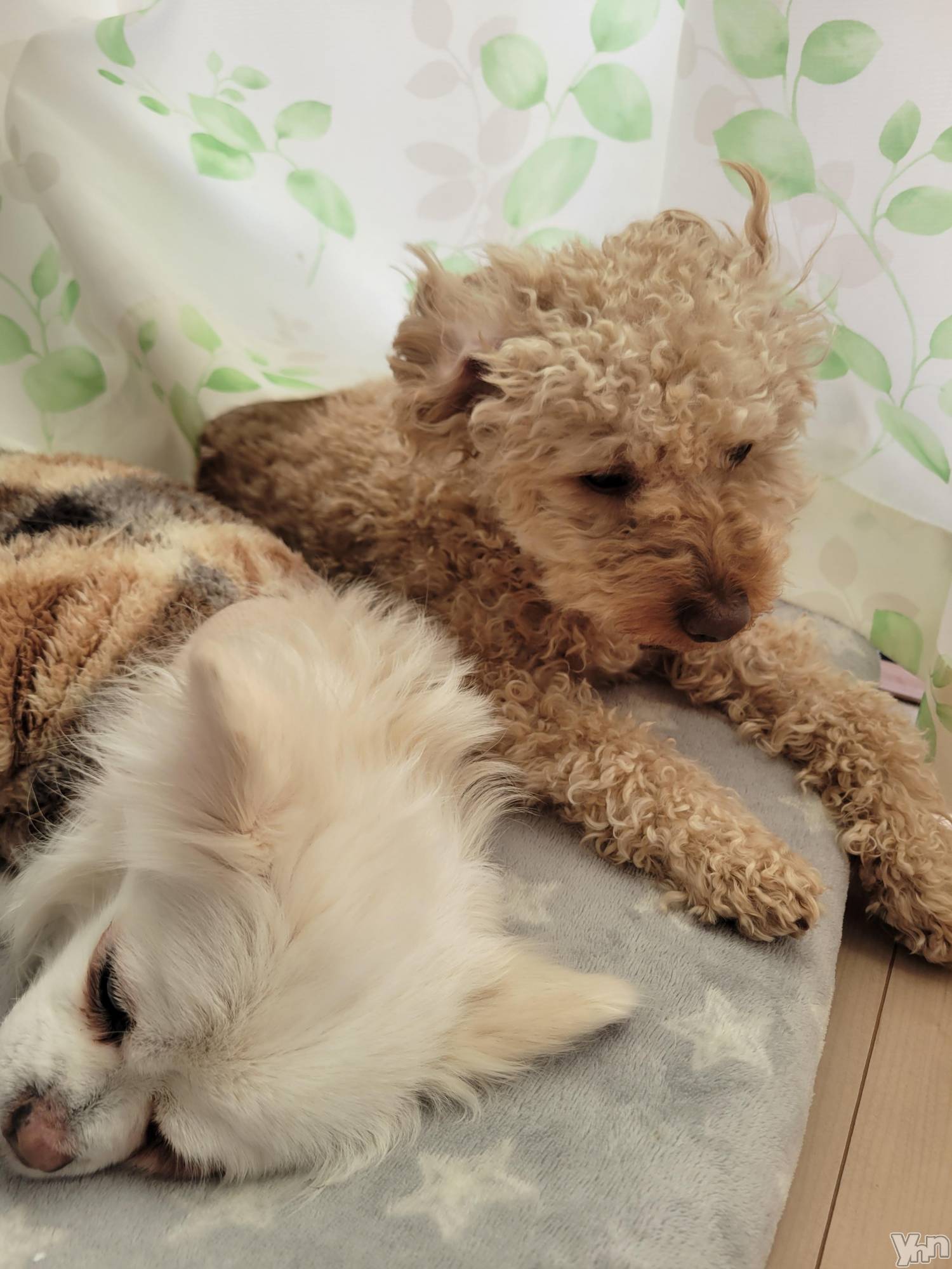 ���ܥ���Х��顦�����club RUDAN(����֥����) ��2023ǯ12��28���̥�֥����ֿ�������