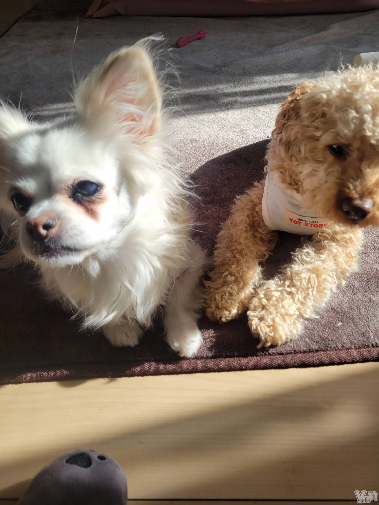 ���ܥ���Х��顦�����club RUDAN(����֥����) ��2024ǯ1��27���̥�֥��������ɤ�����