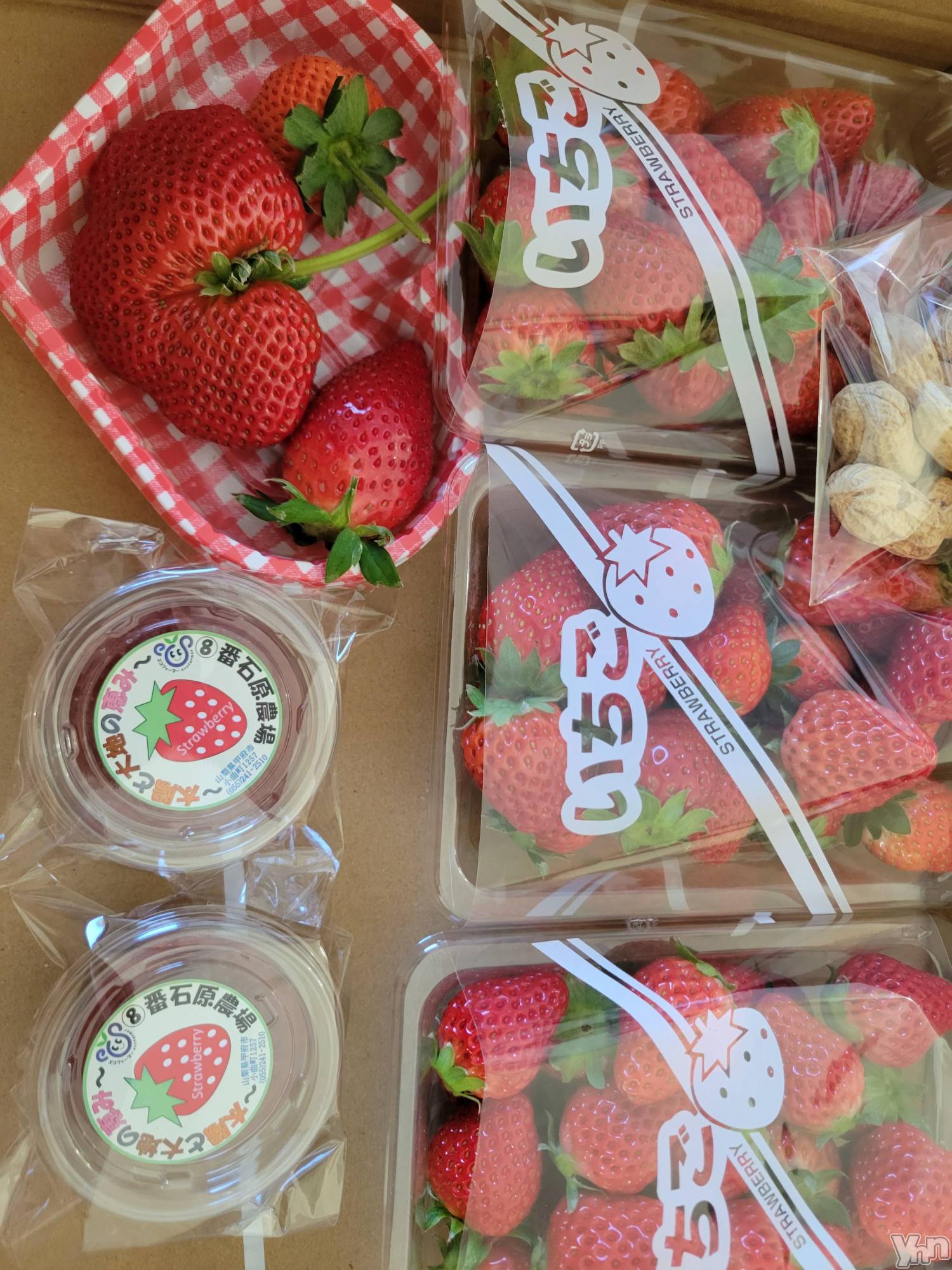 ���ܥ���Х��顦�����club RUDAN(����֥����) ��2024ǯ2��3���̥�֥����֥�����( *��︶`*)��