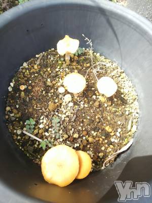 ���ܥ���Х��顦�����club RUDAN(����֥����) ������7��29���̥�֥����֥��Υ���