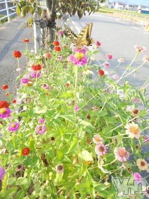 ���ܥ���Х��顦�����club RUDAN(����֥����) ������8��19���̥�֥����֥�����ĳ��