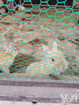 ���ܥ���Х��顦�����club RUDAN(����֥����) ������8��8���̥�֥����֥�������