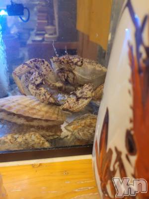 ���ܥ���Х��顦�����club RUDAN(����֥����) ������3��19���̥�֥����ֳ�����🦀��