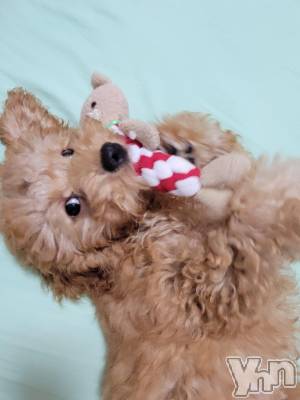 ���ܥ���Х��顦�����club RUDAN(����֥����) ������8��30���̥�֥����ֺ����Τ�󤳡�