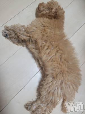 ���ܥ���Х��顦�����club RUDAN(����֥����) ������9��12���̥�֥����֥⥳�⥳��